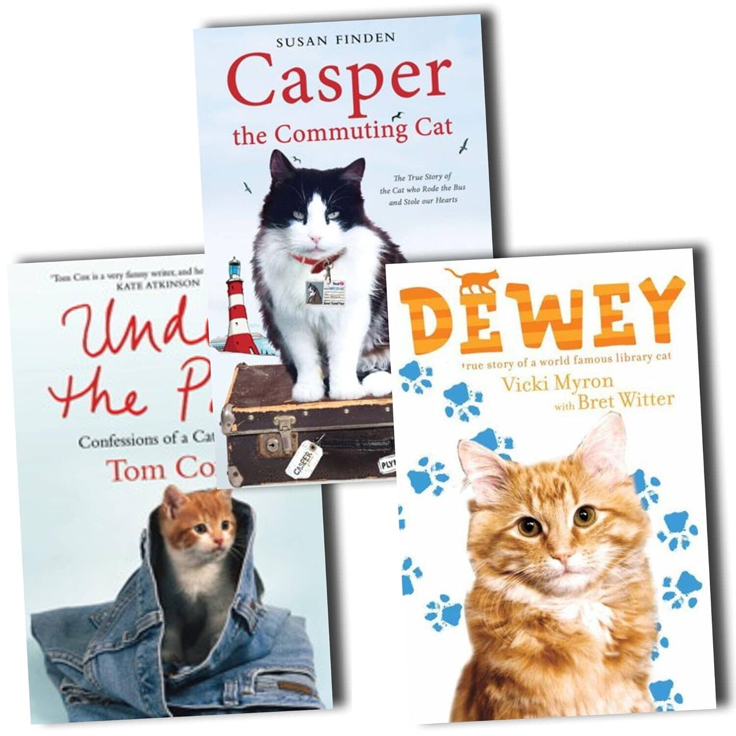 Cat Adventure Collection by Susan Finden 3 Books Set - Paperback - T-31