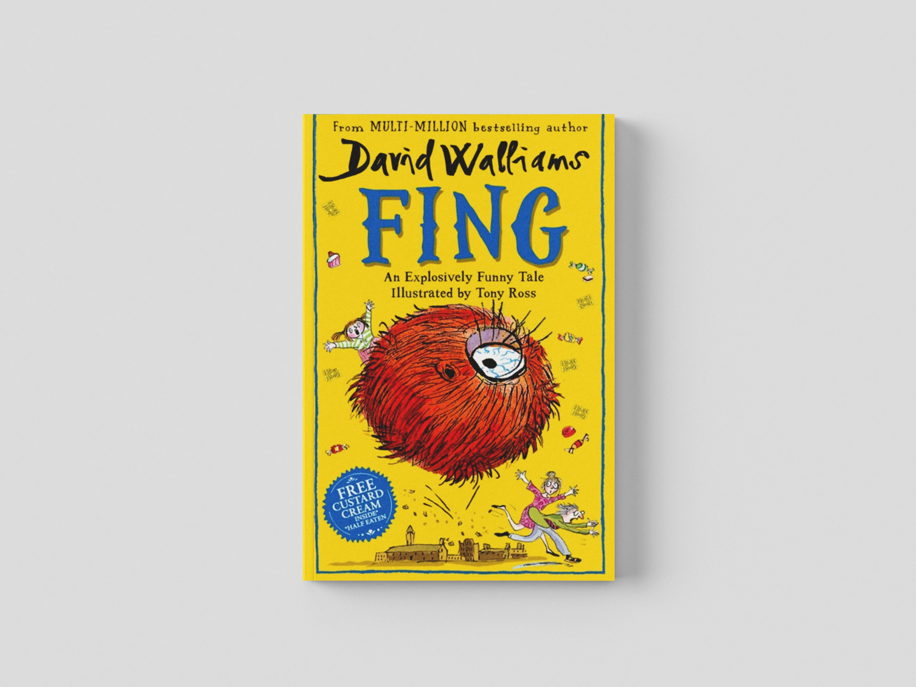 Fing Paperback / softback