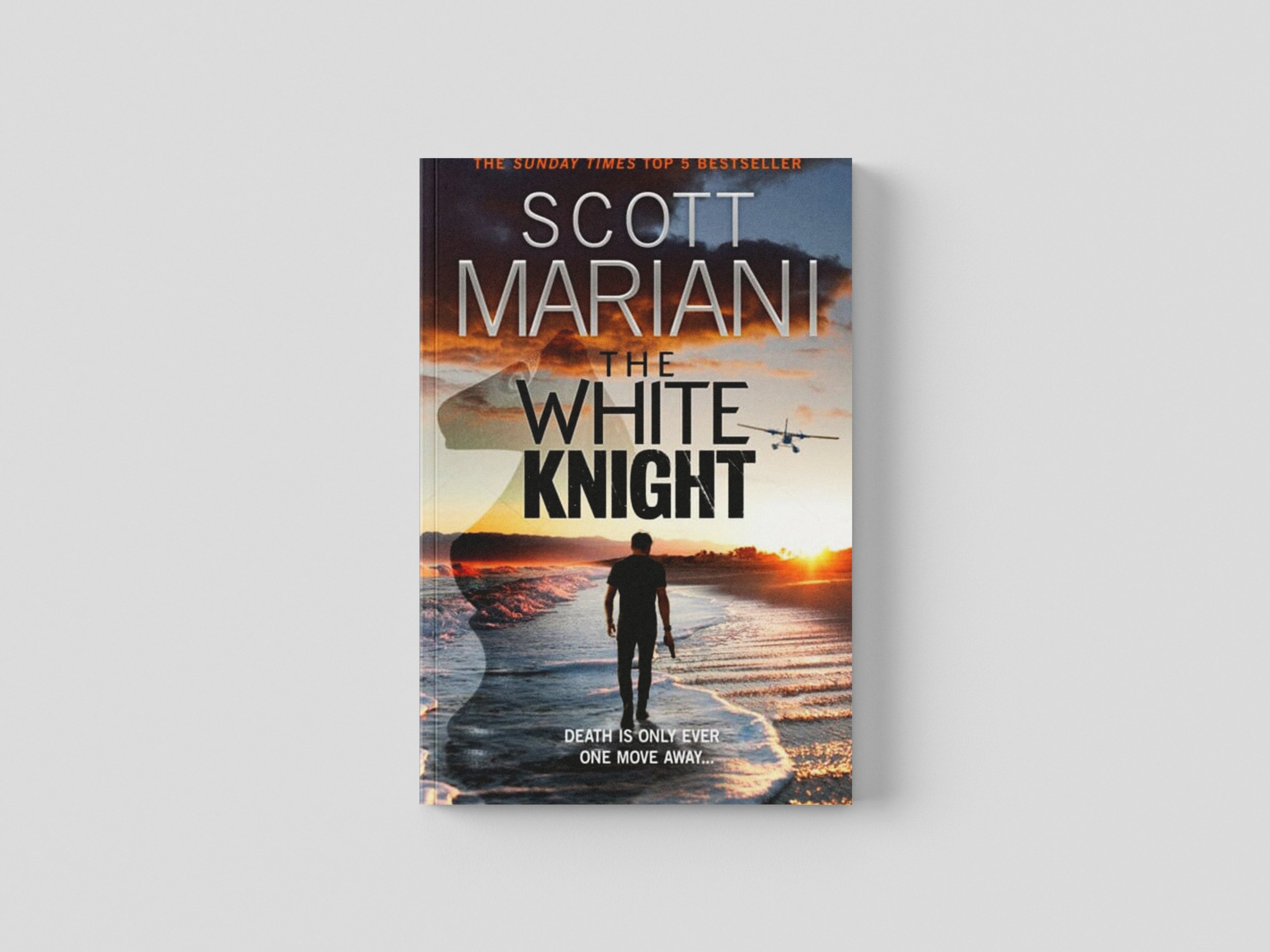 The White Knight Paperback / softback