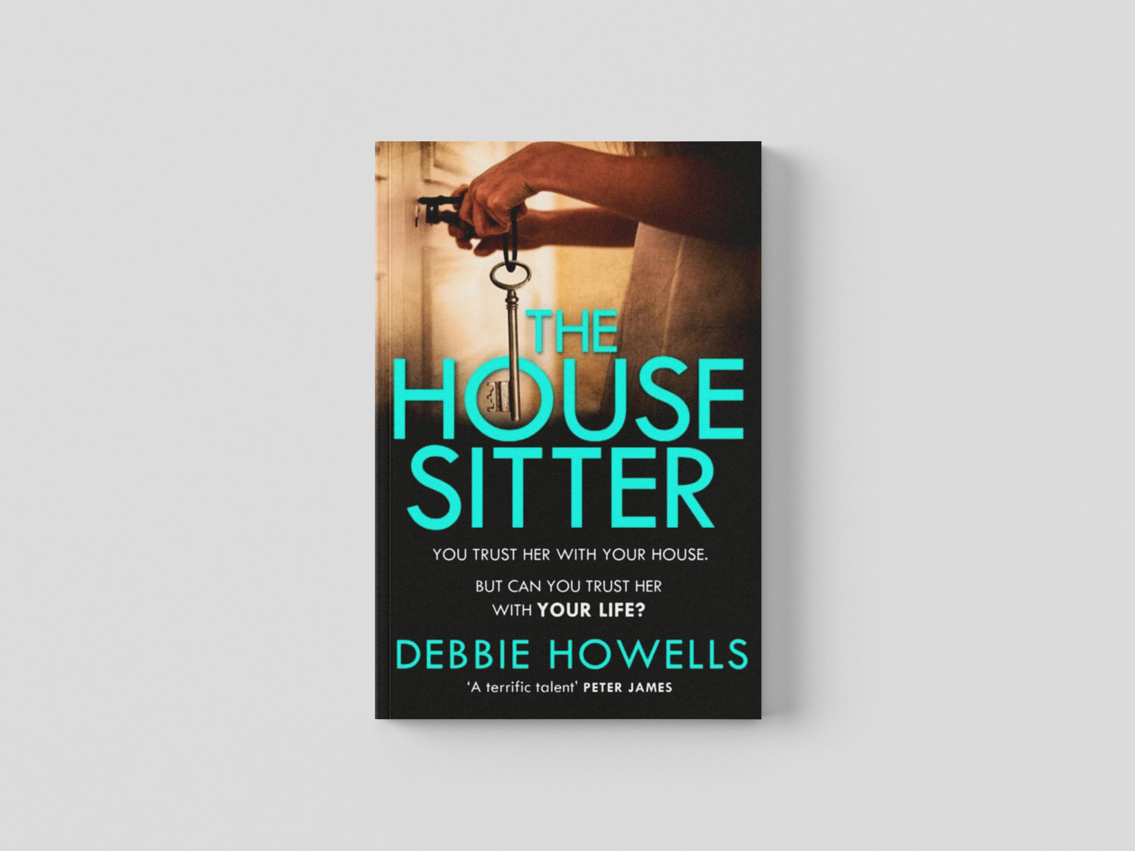 The House Sitter Paperback / softback