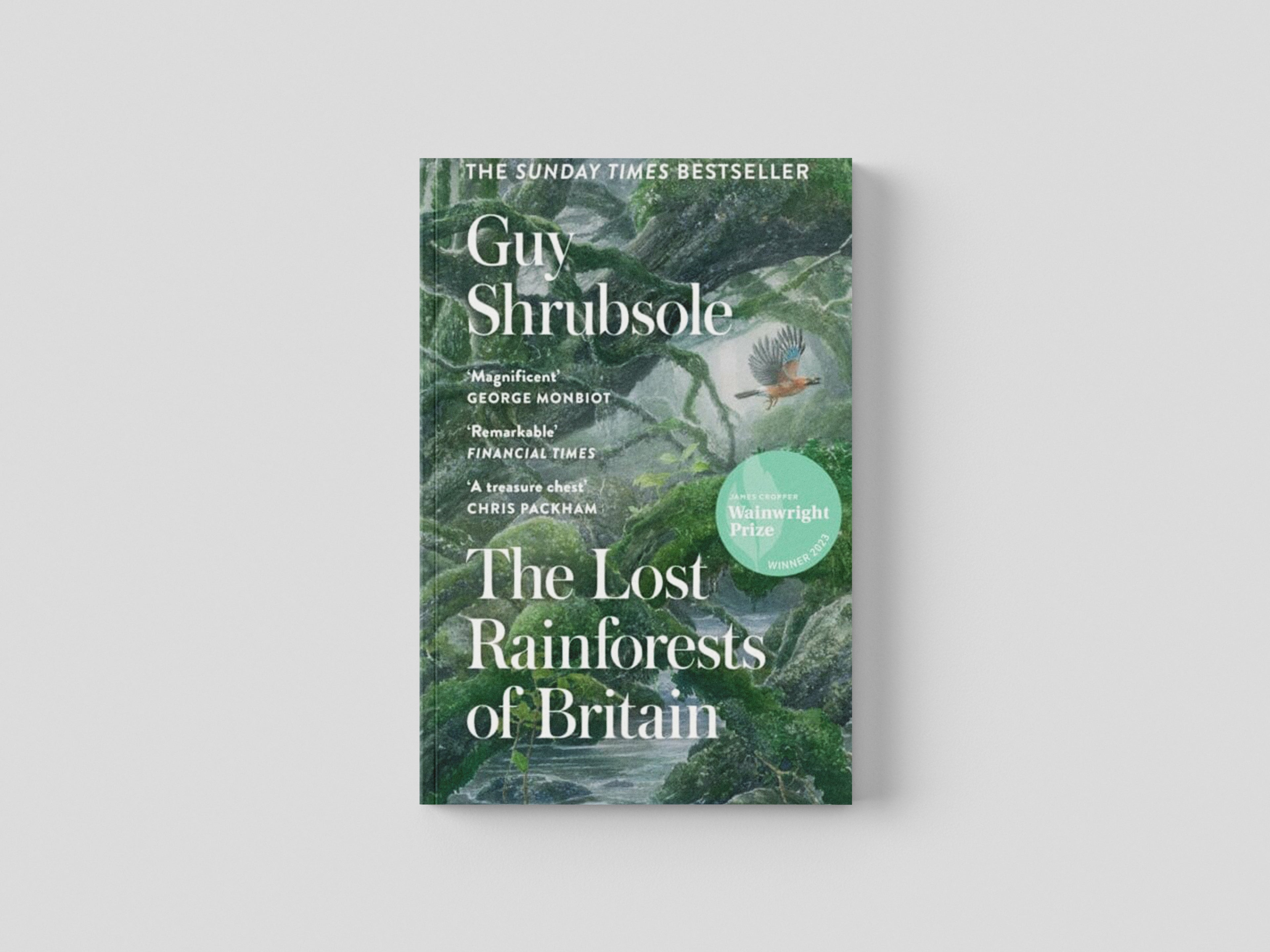 The Lost Rainforests of Britain Paperback / softback