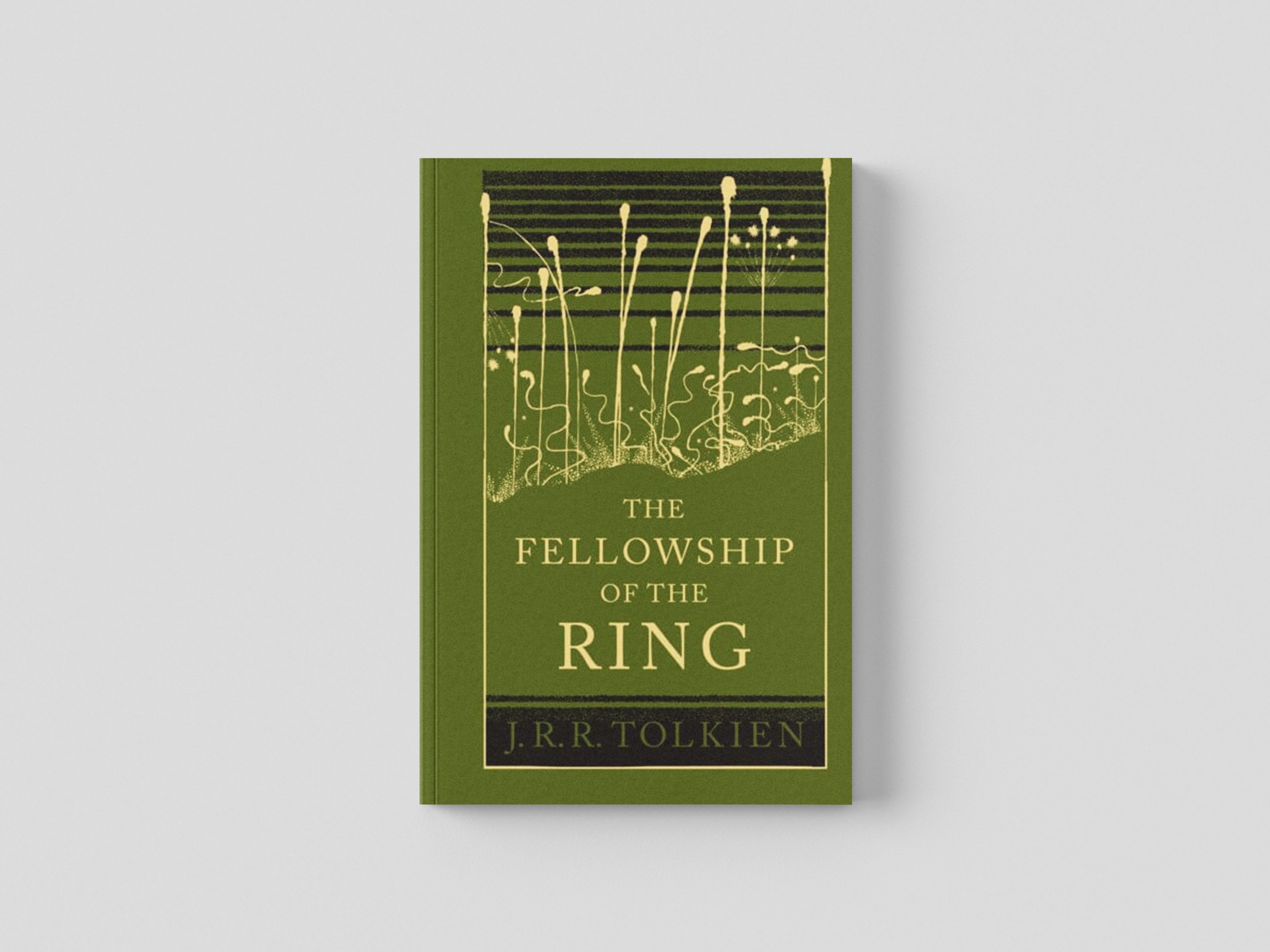 The Fellowship of the Ring Hardback