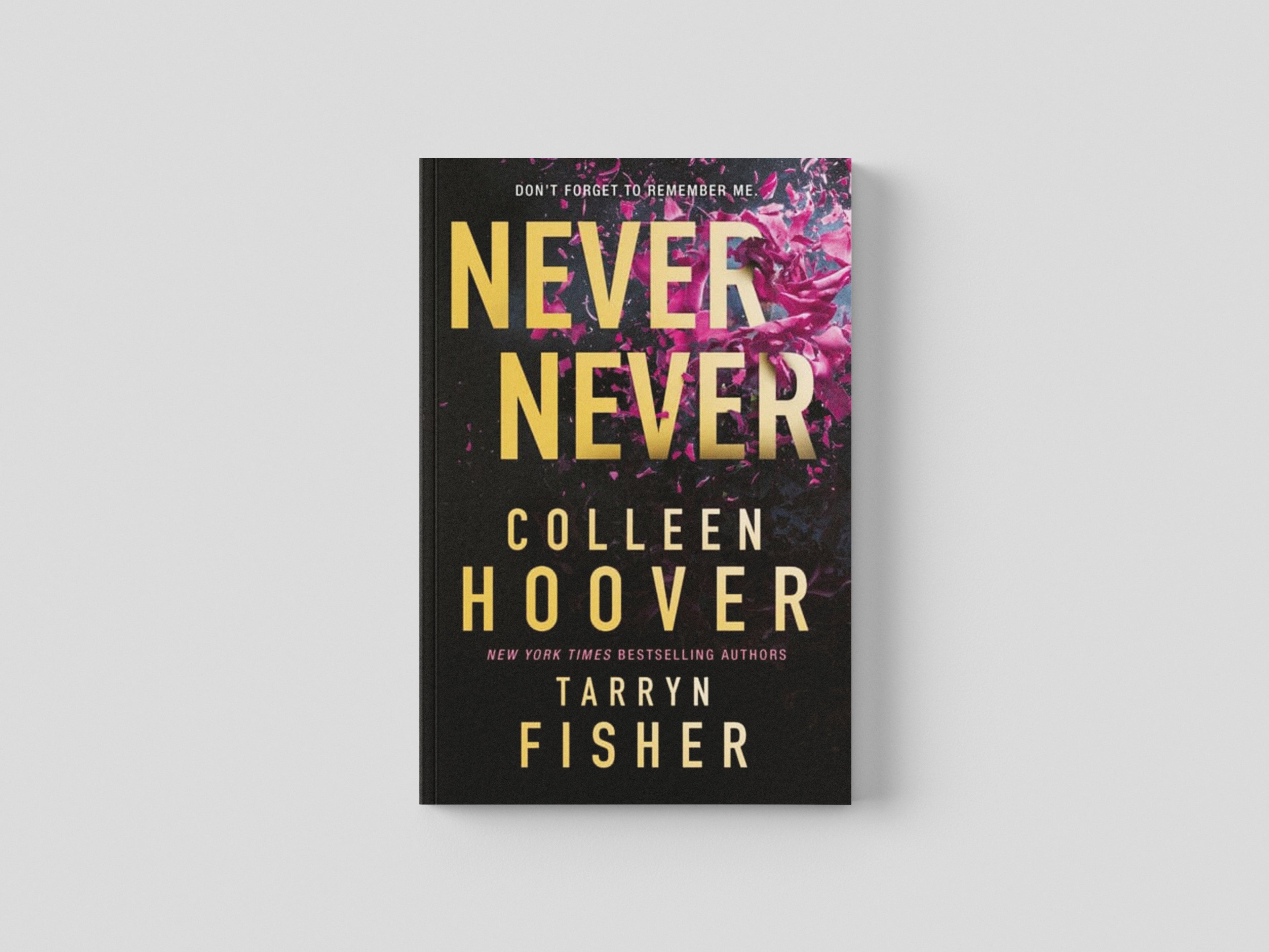 Never Never Paperback / softback