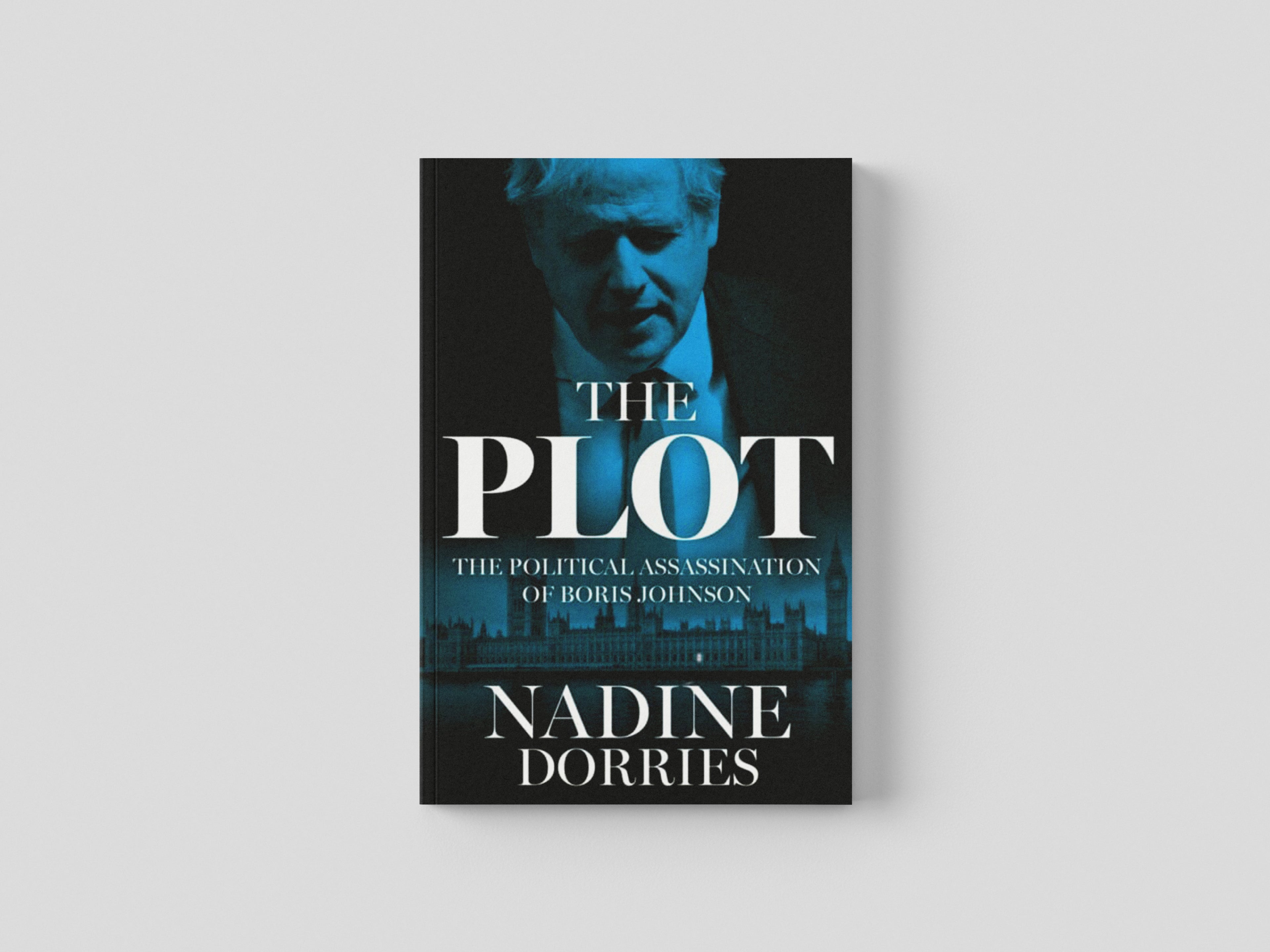 The Plot : The Political Assassination of Boris Johnson