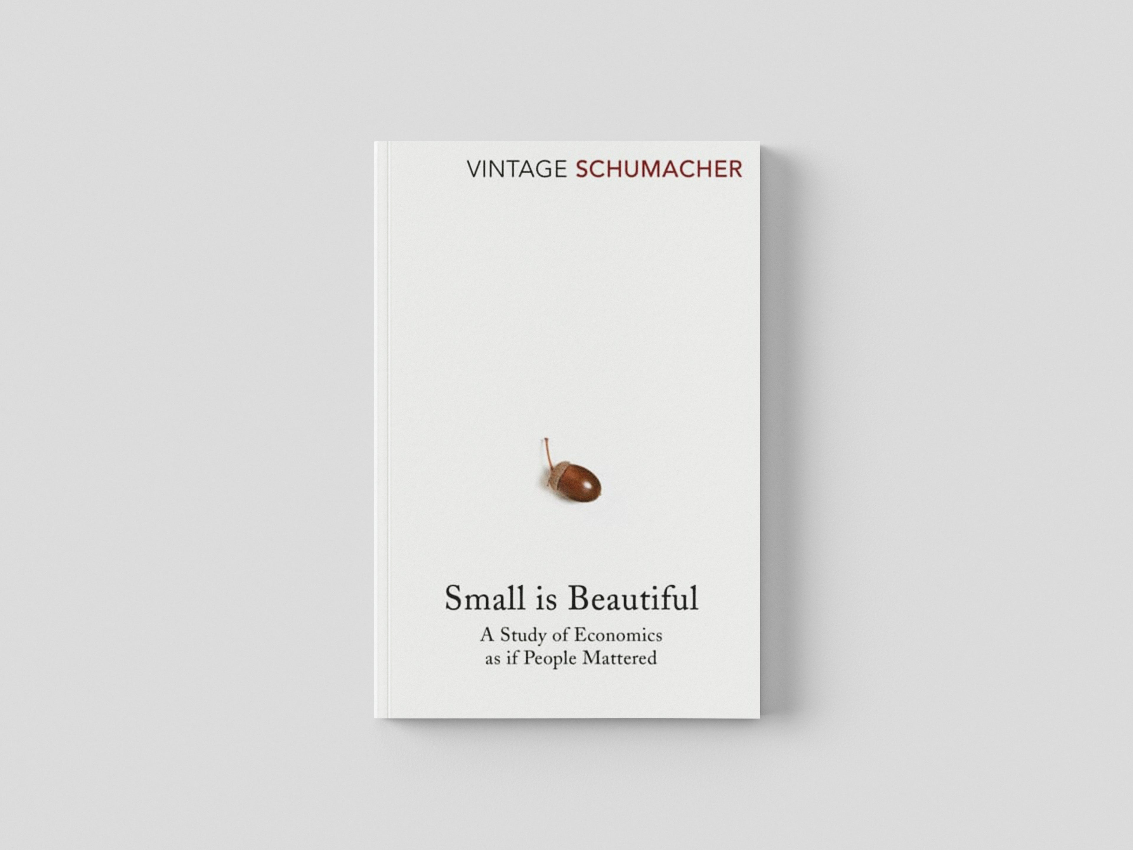 Small Is Beautiful Paperback / softback