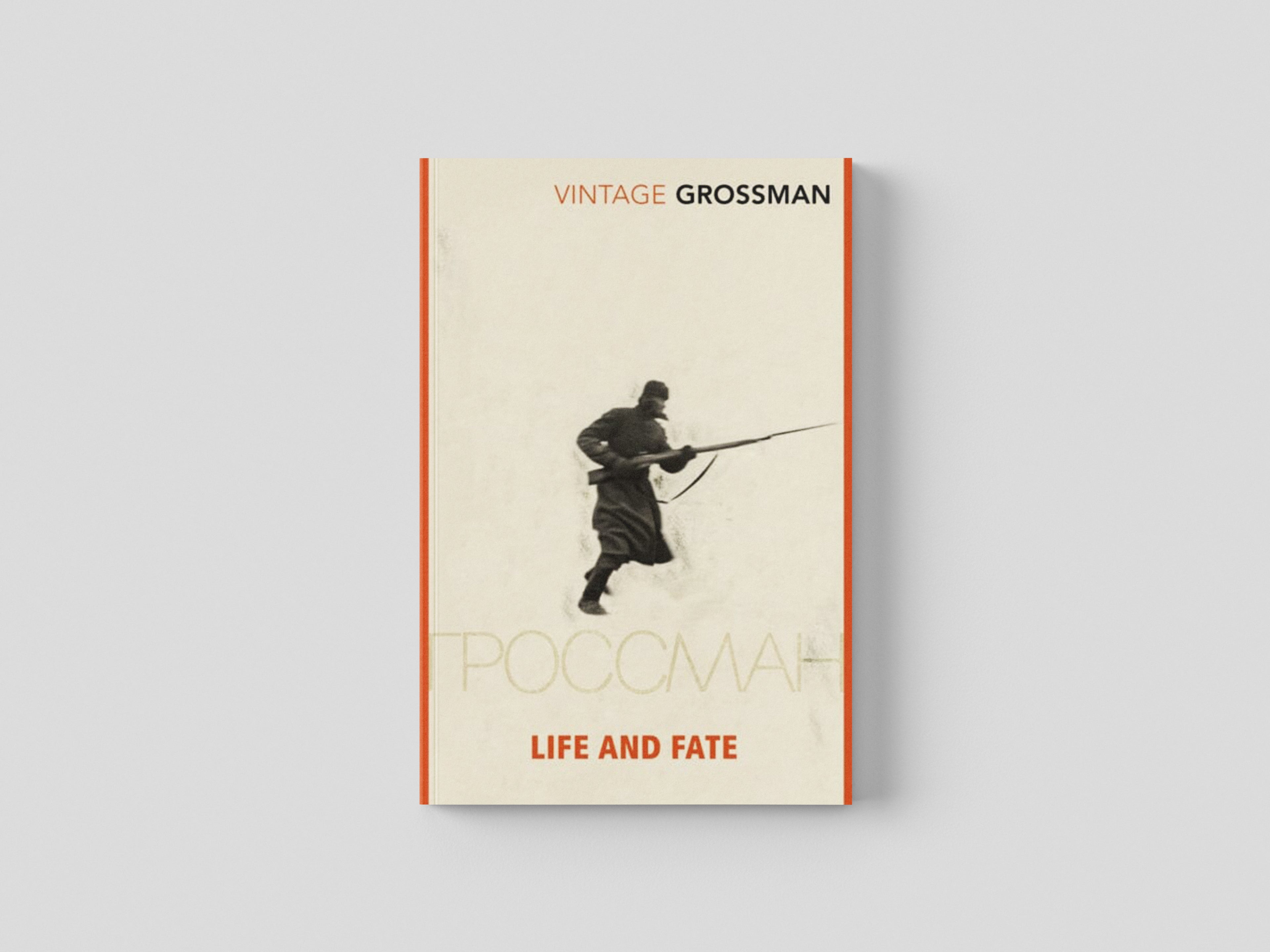 Life and Fate Paperback / softback