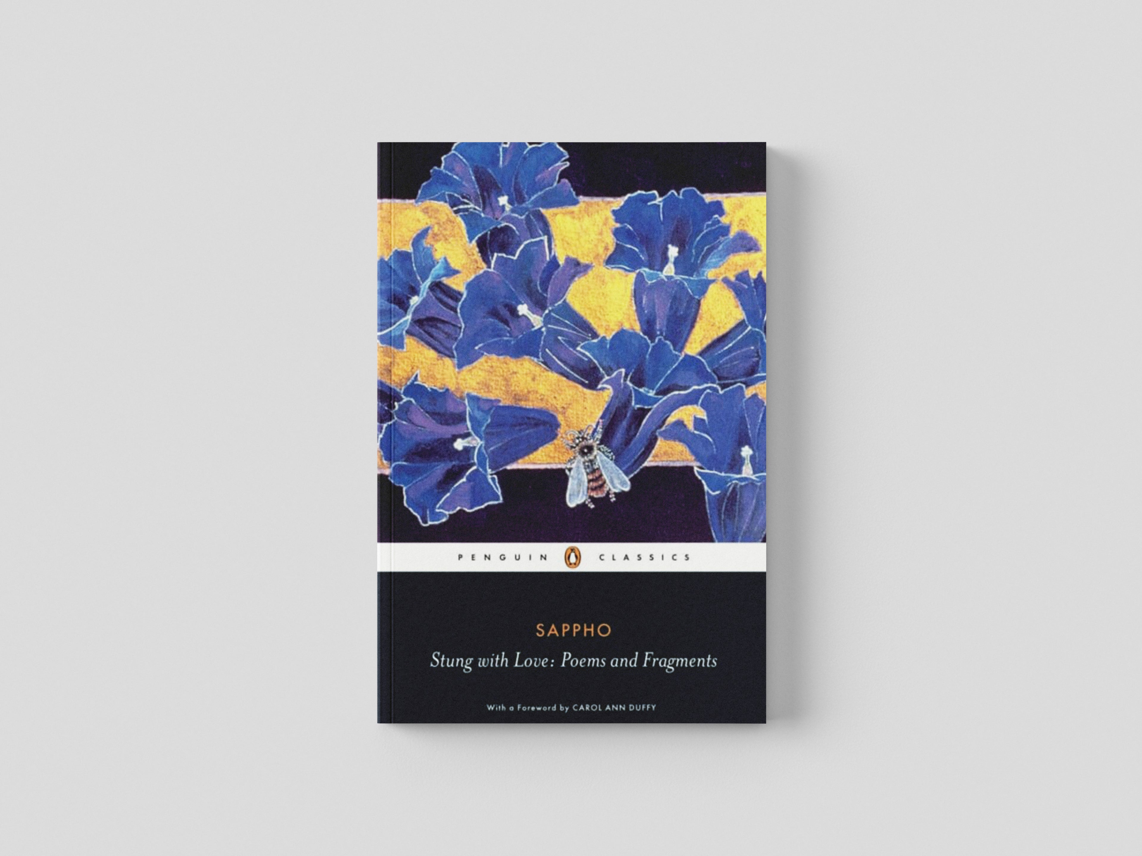 Stung with Love: Poems and Fragments of Sappho Paperback / softback