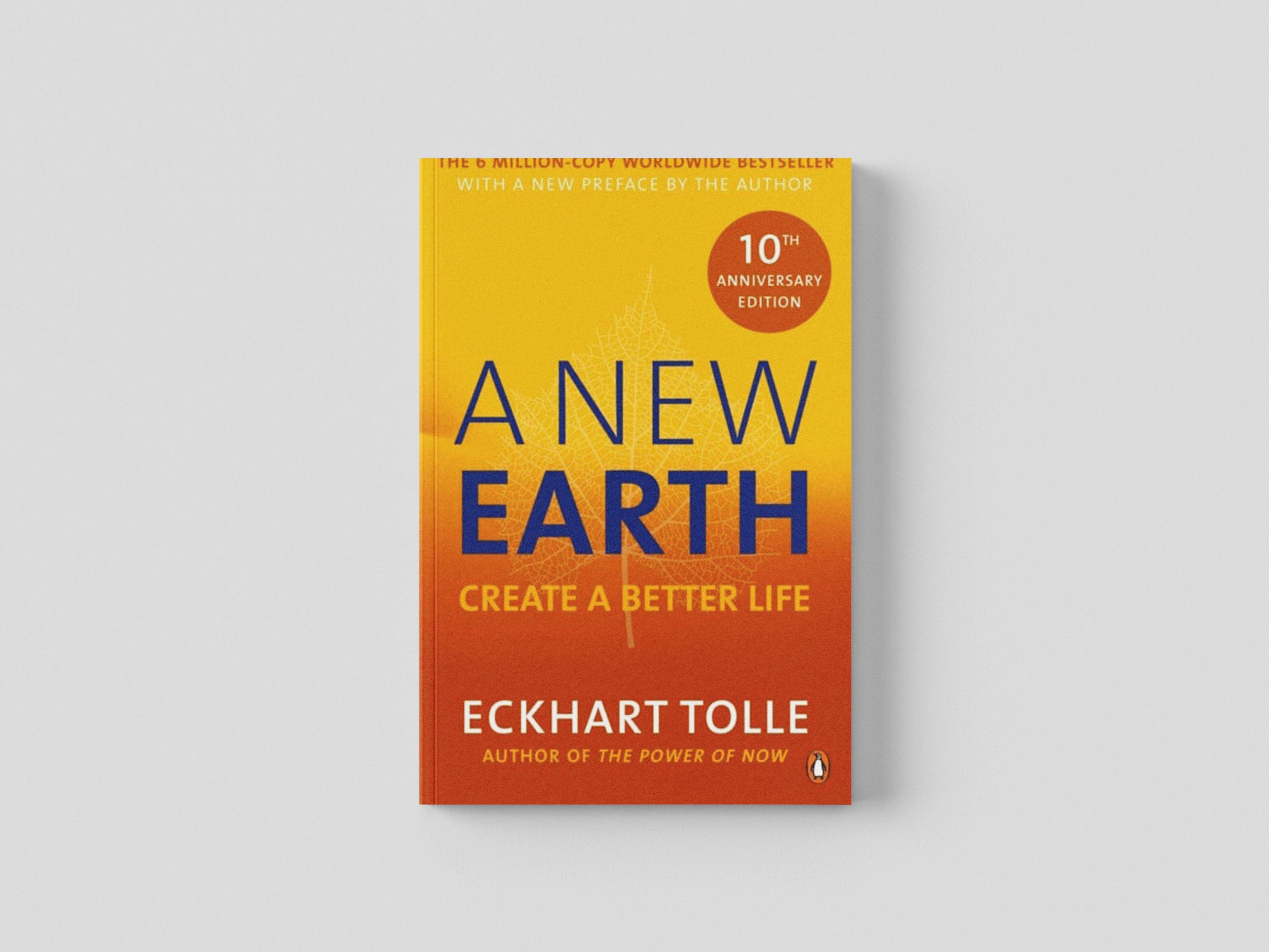 A New Earth Paperback / softback