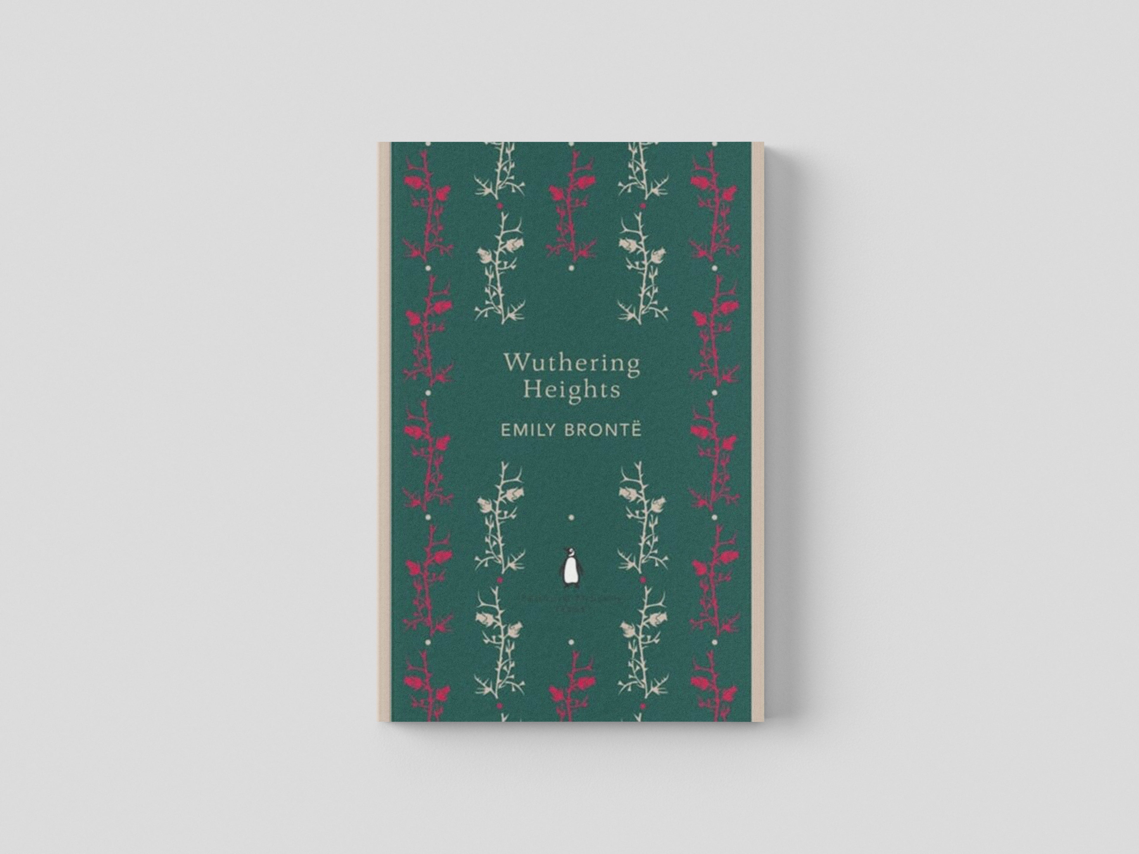 Wuthering Heights Paperback / softback