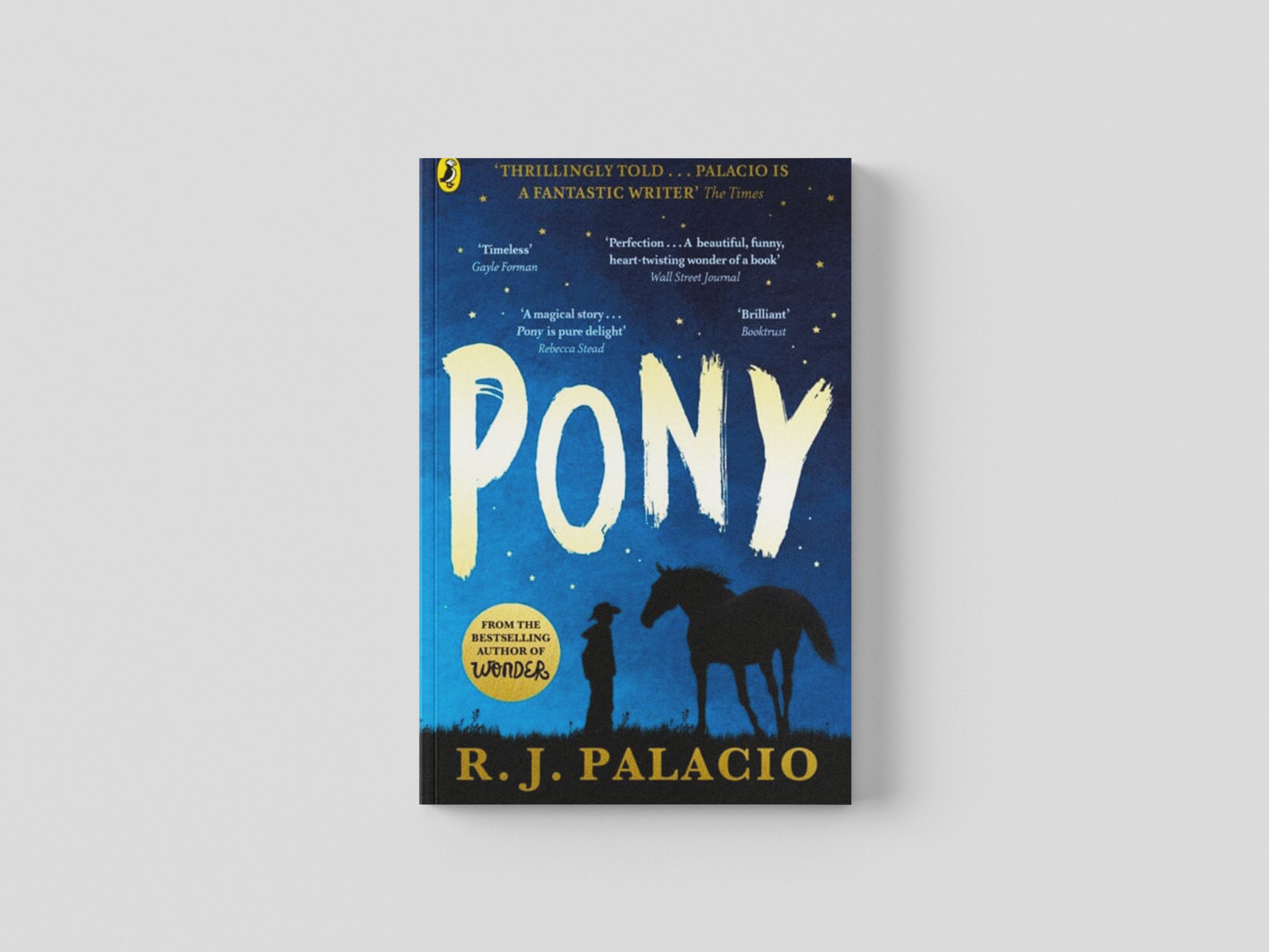 Pony Paperback / softback