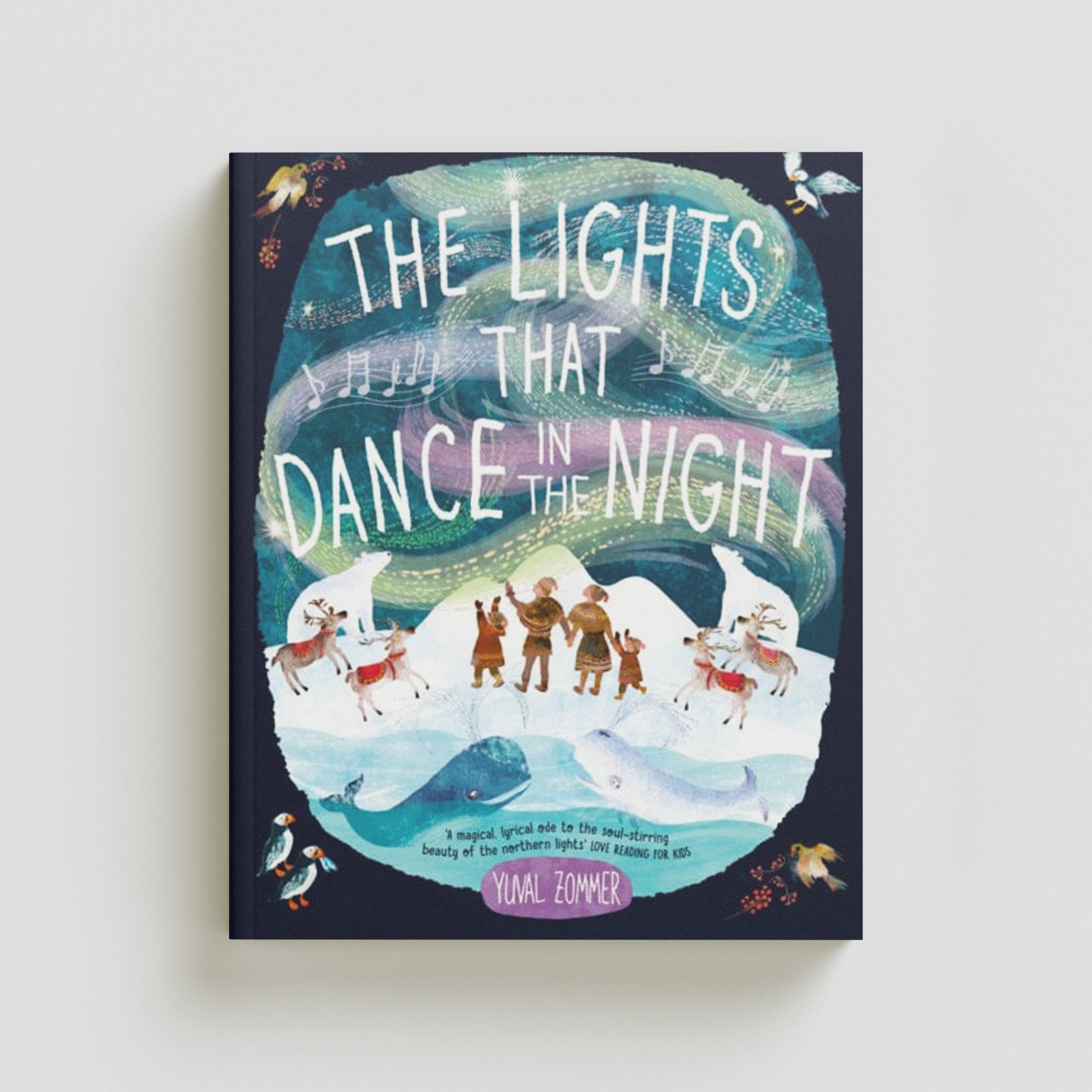 The Lights that Dance in the Night Paperback / softback