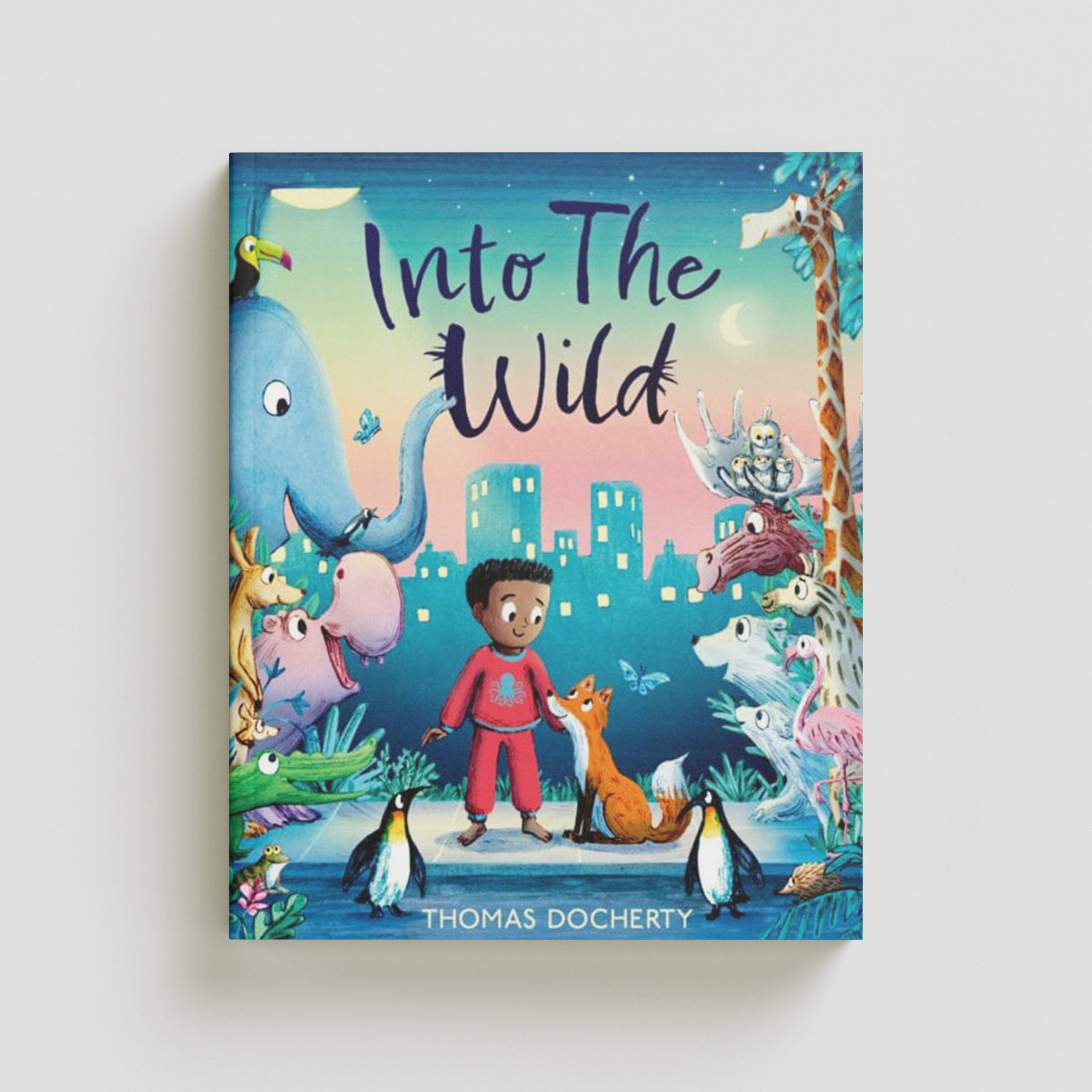 Into the Wild Paperback / softback