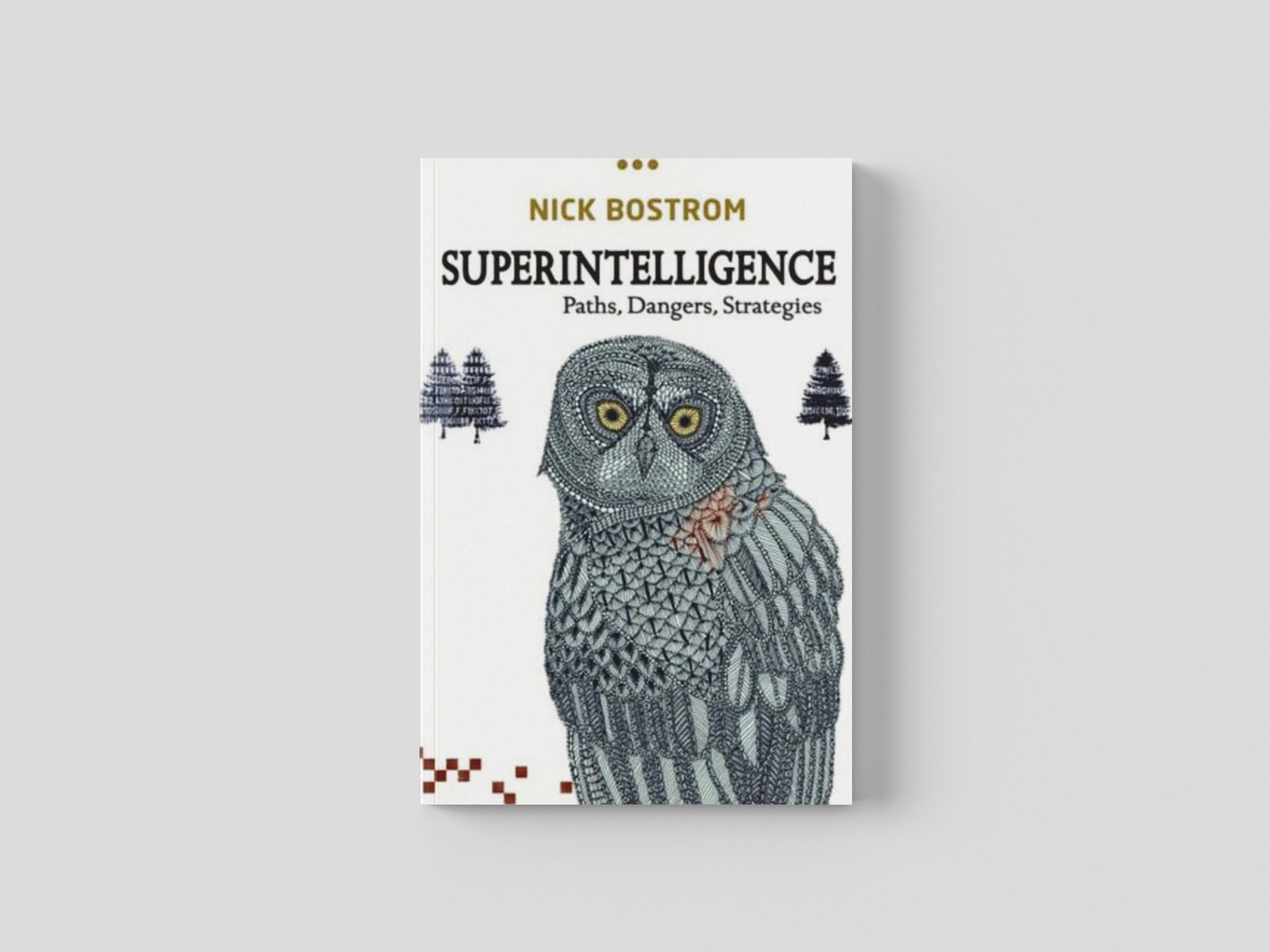 Superintelligence Paperback / softback