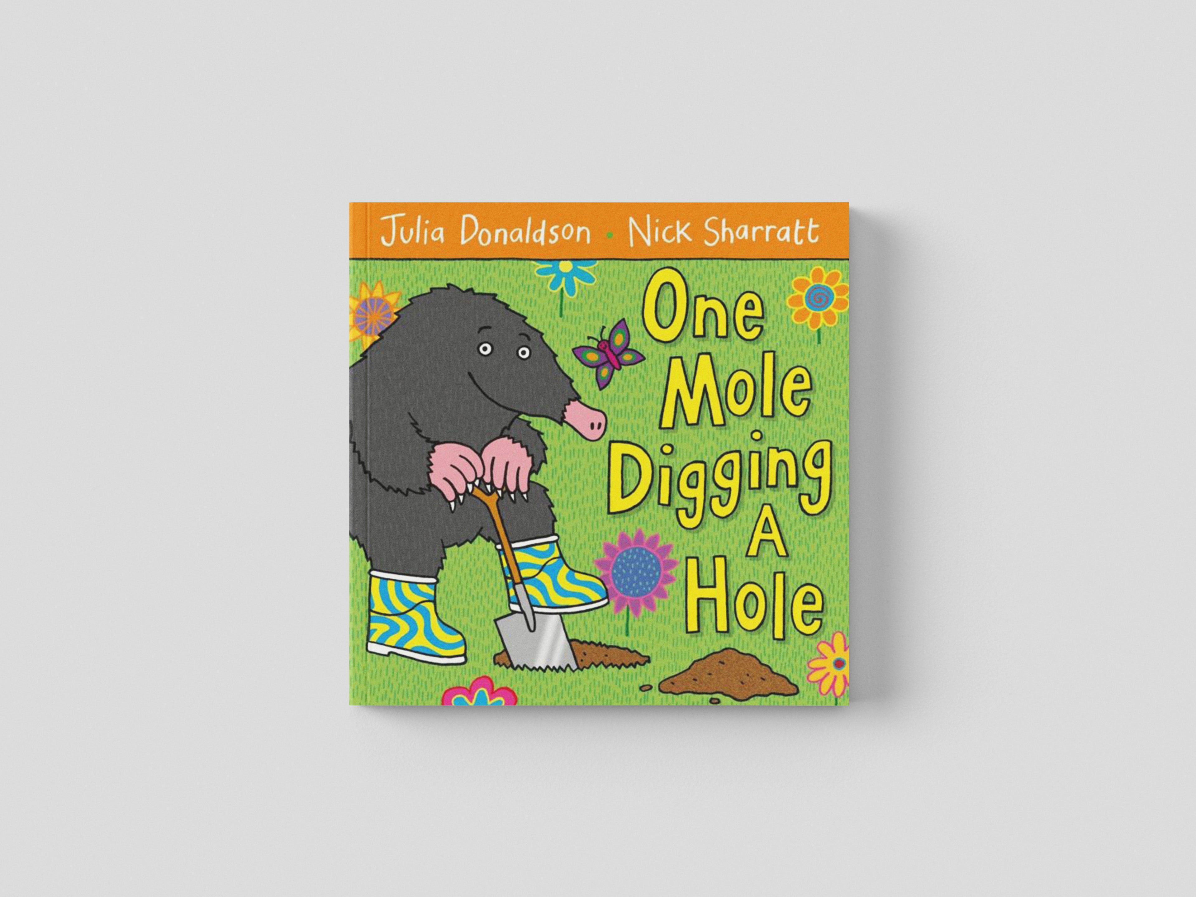 One Mole Digging A Hole Paperback / softback