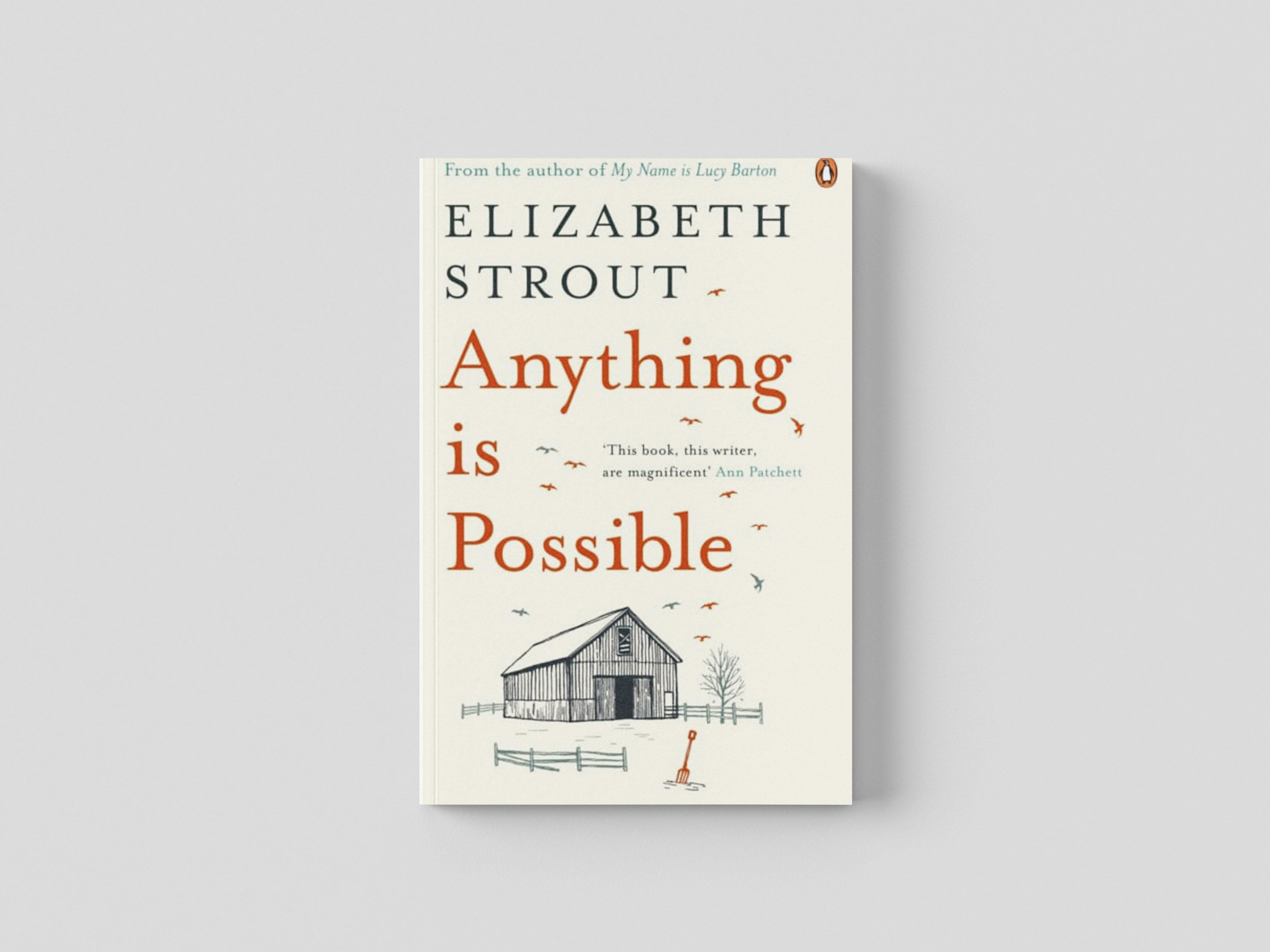 Anything is Possible Paperback / softback