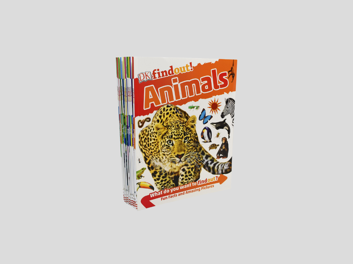 DKfindout! Animals Paperback / softback