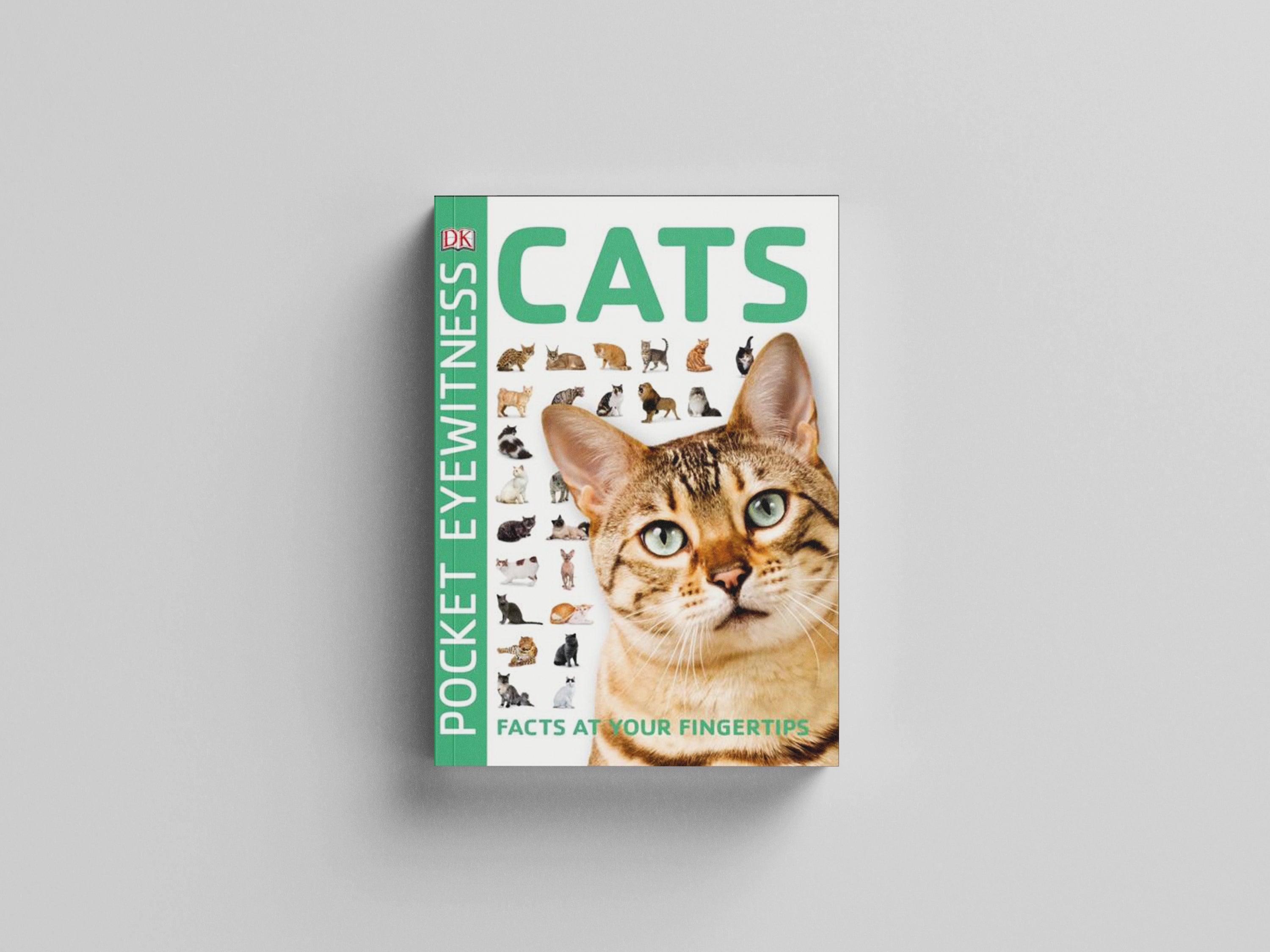 Cats Paperback / softback