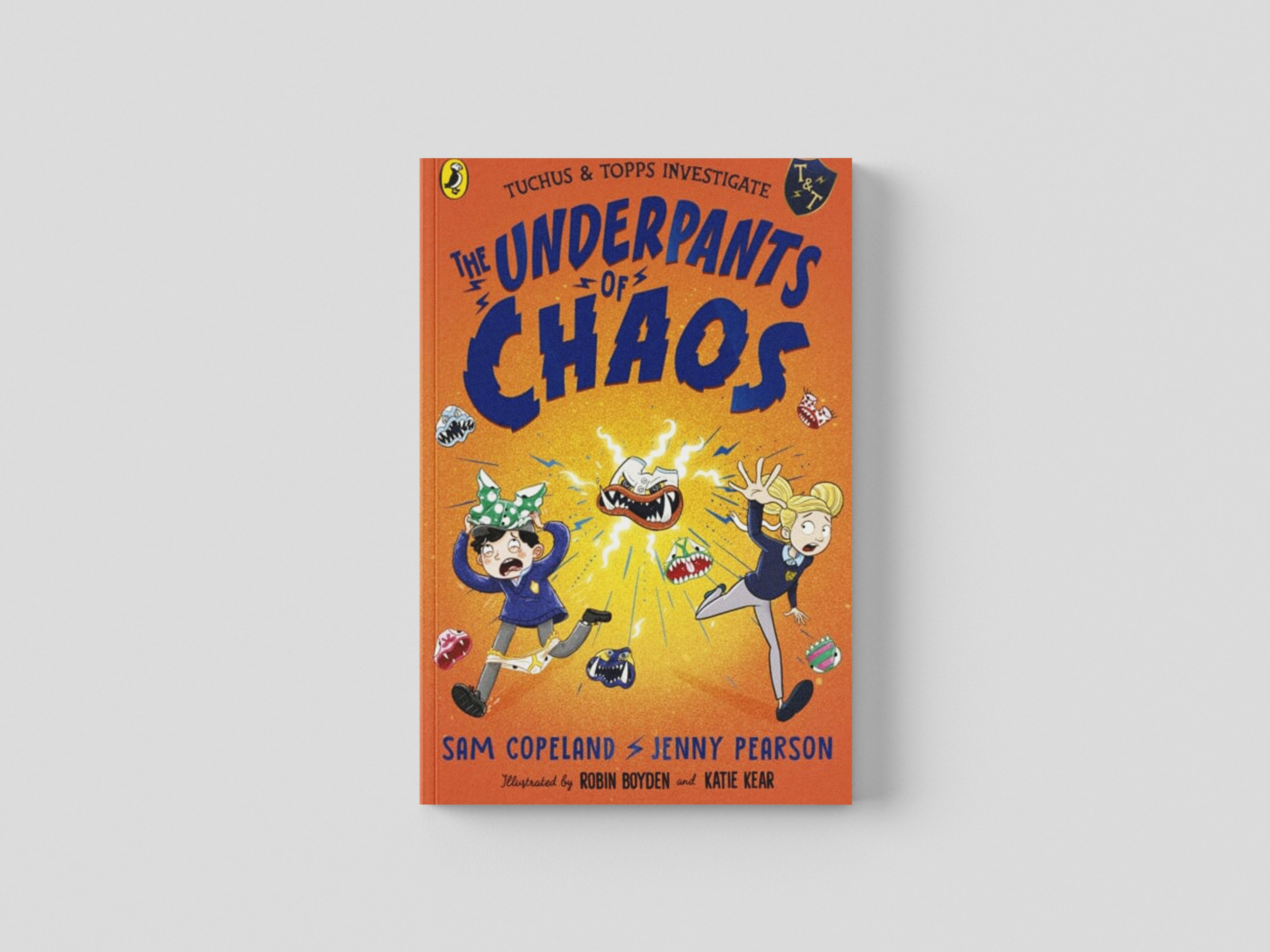 The Underpants of Chaos Paperback / softback