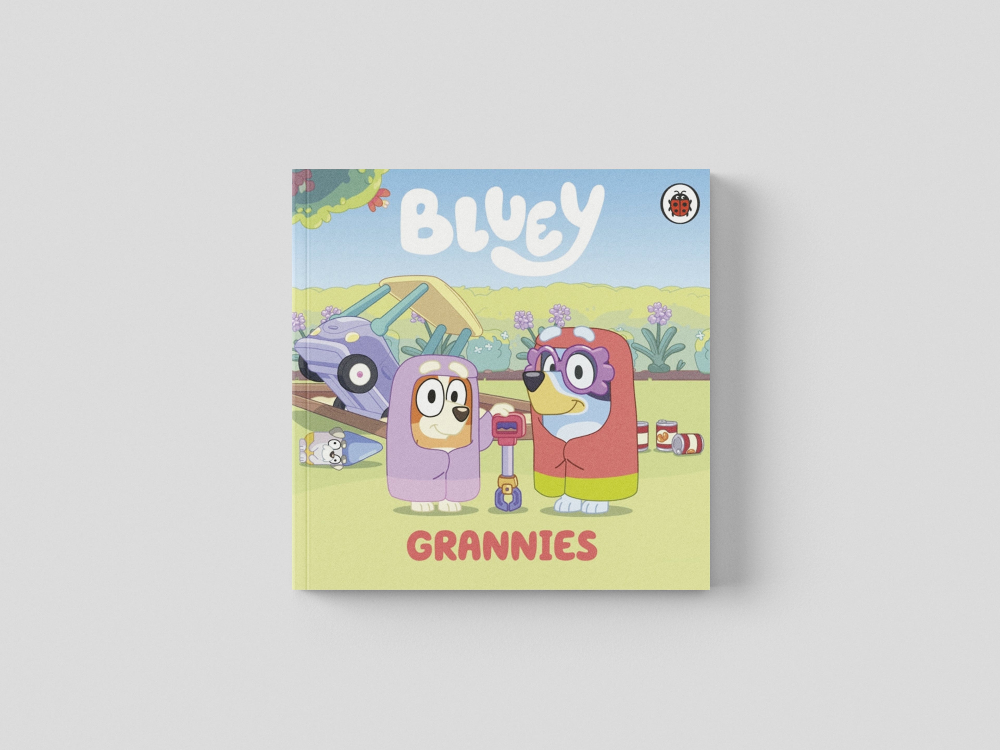 Bluey: Grannies Board book