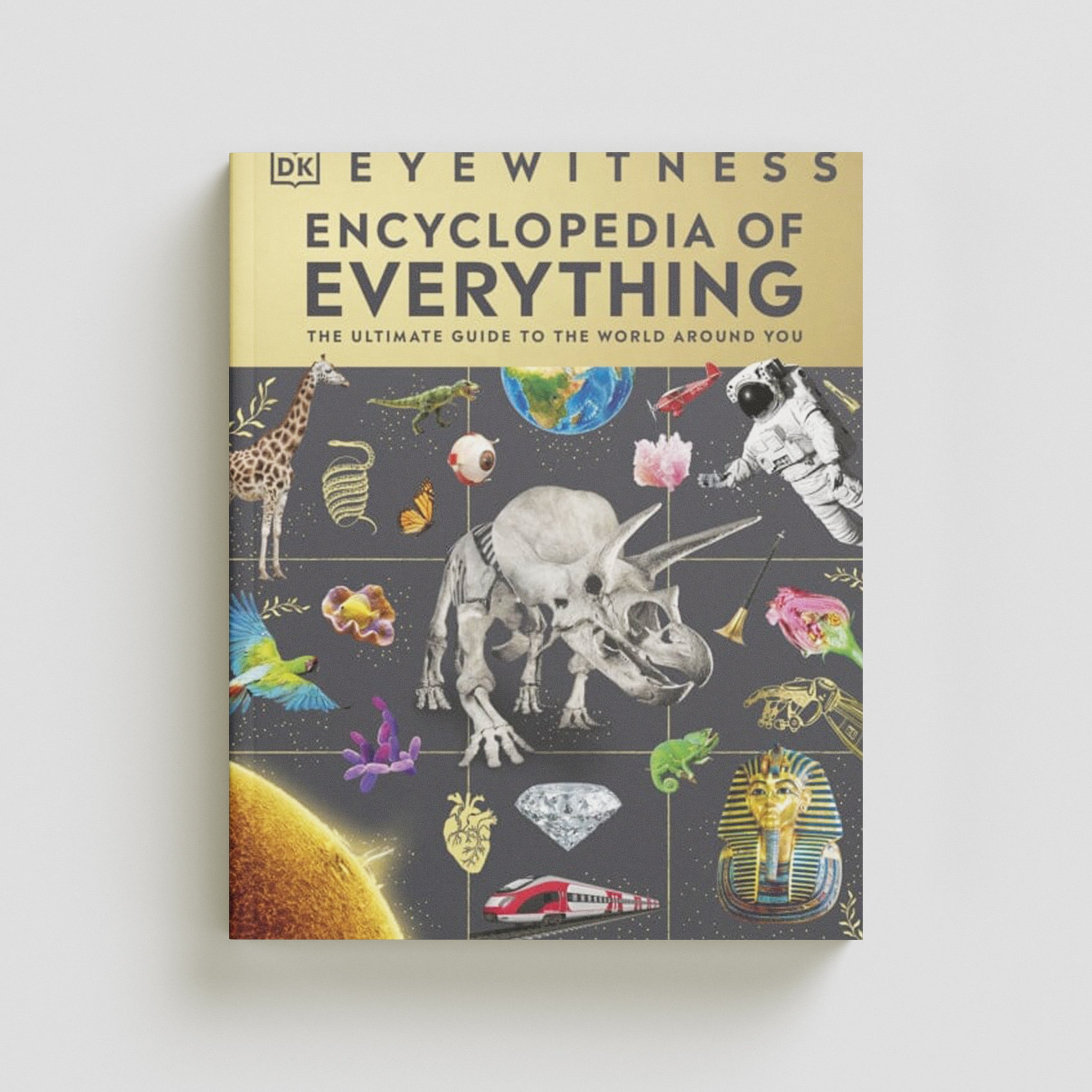 Eyewitness Encyclopedia of Everything Hardback