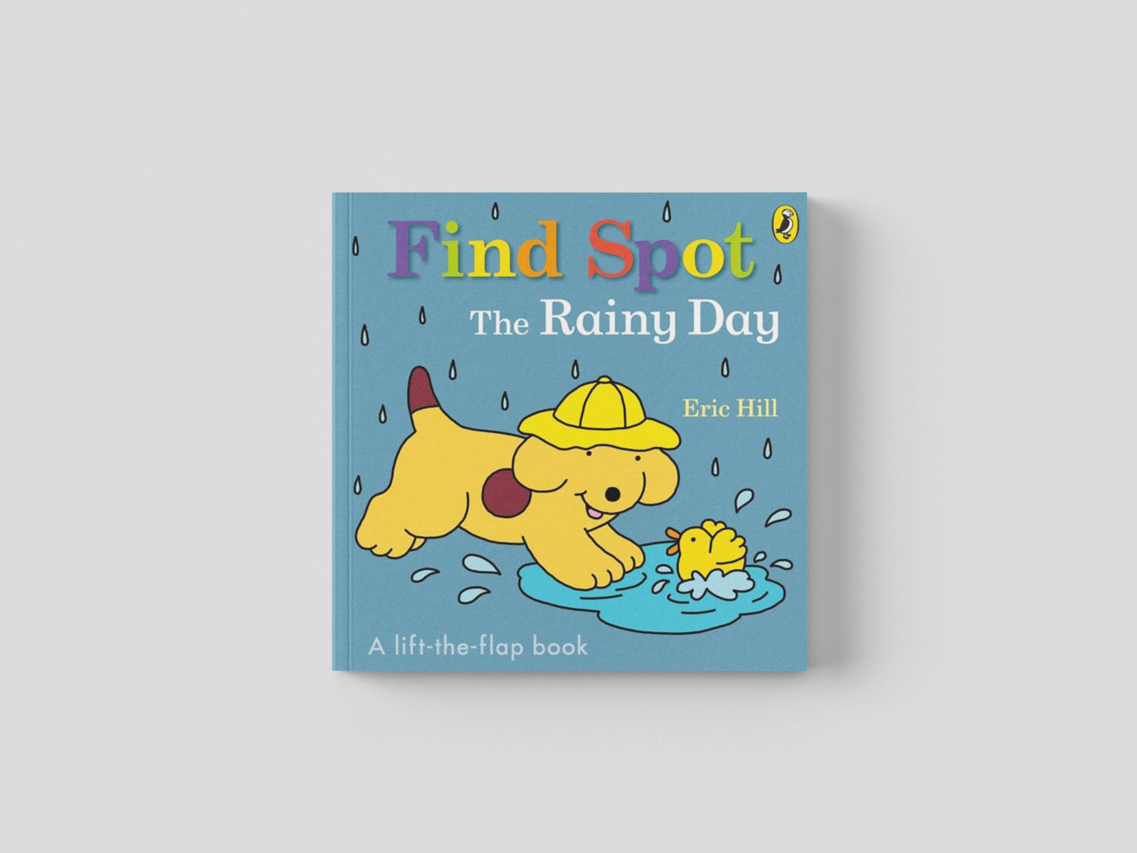 Find Spot: The Rainy Day Board book