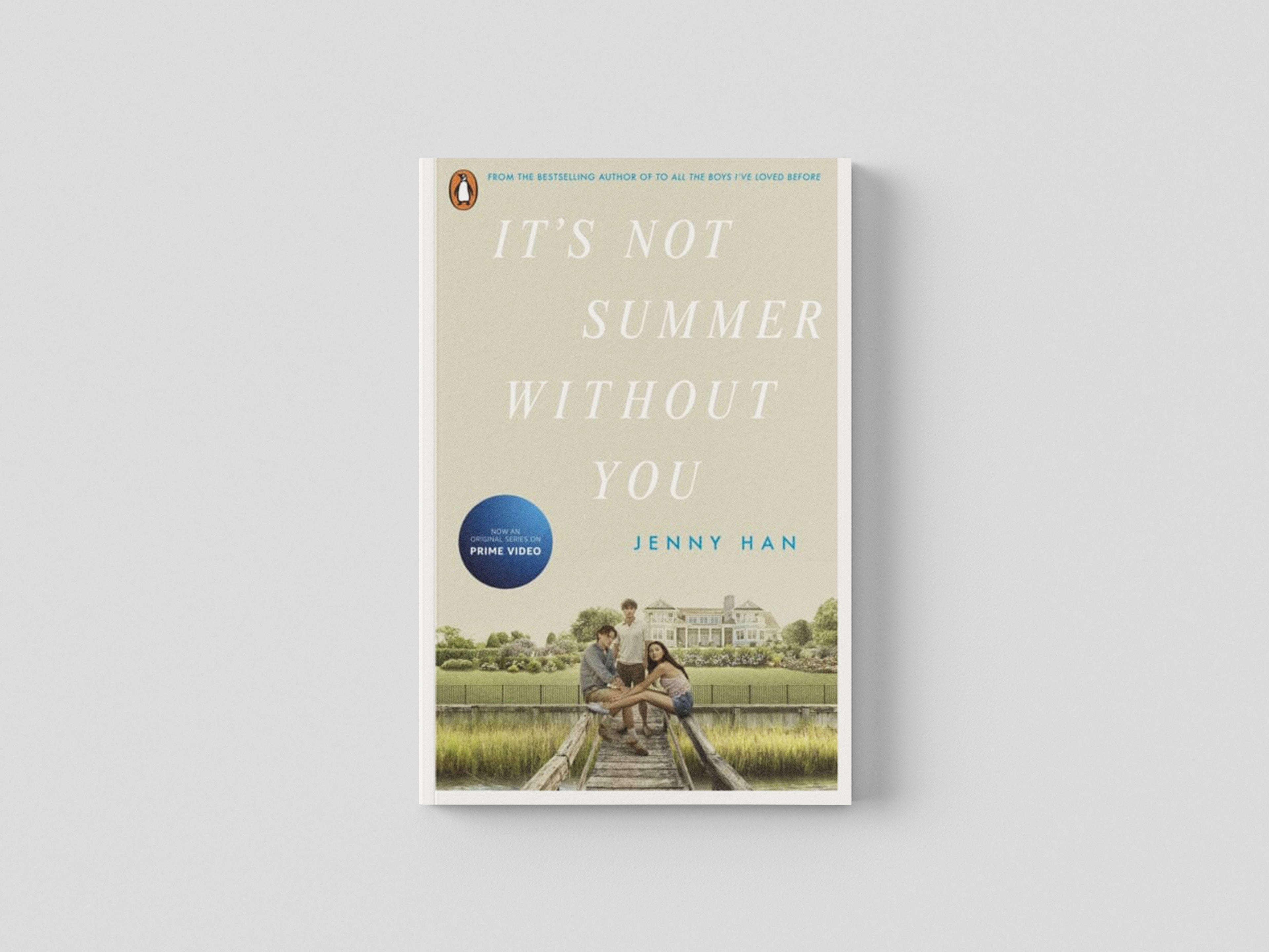 It's Not Summer Without You Paperback / softback