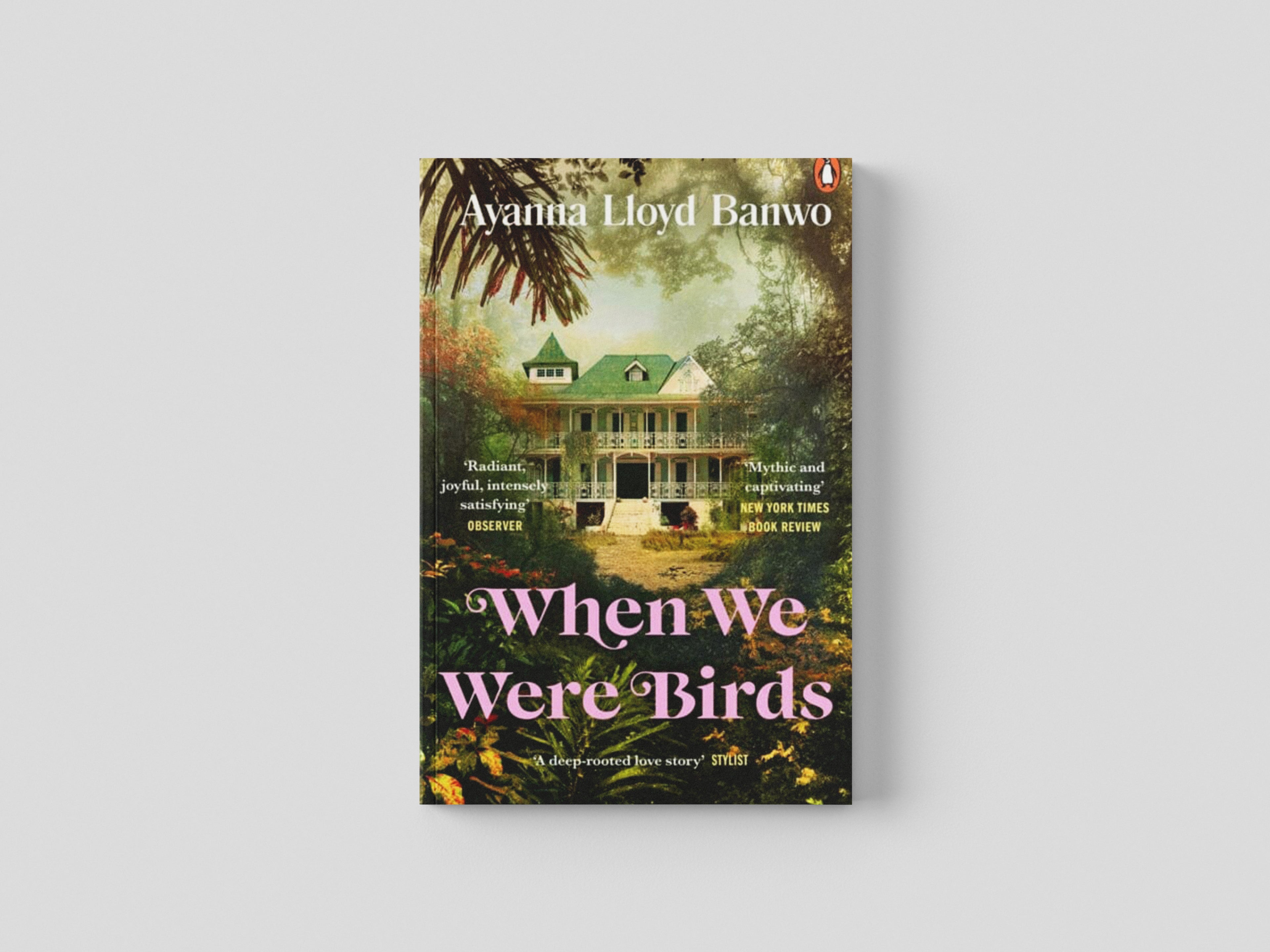 When We Were Birds Paperback / softback