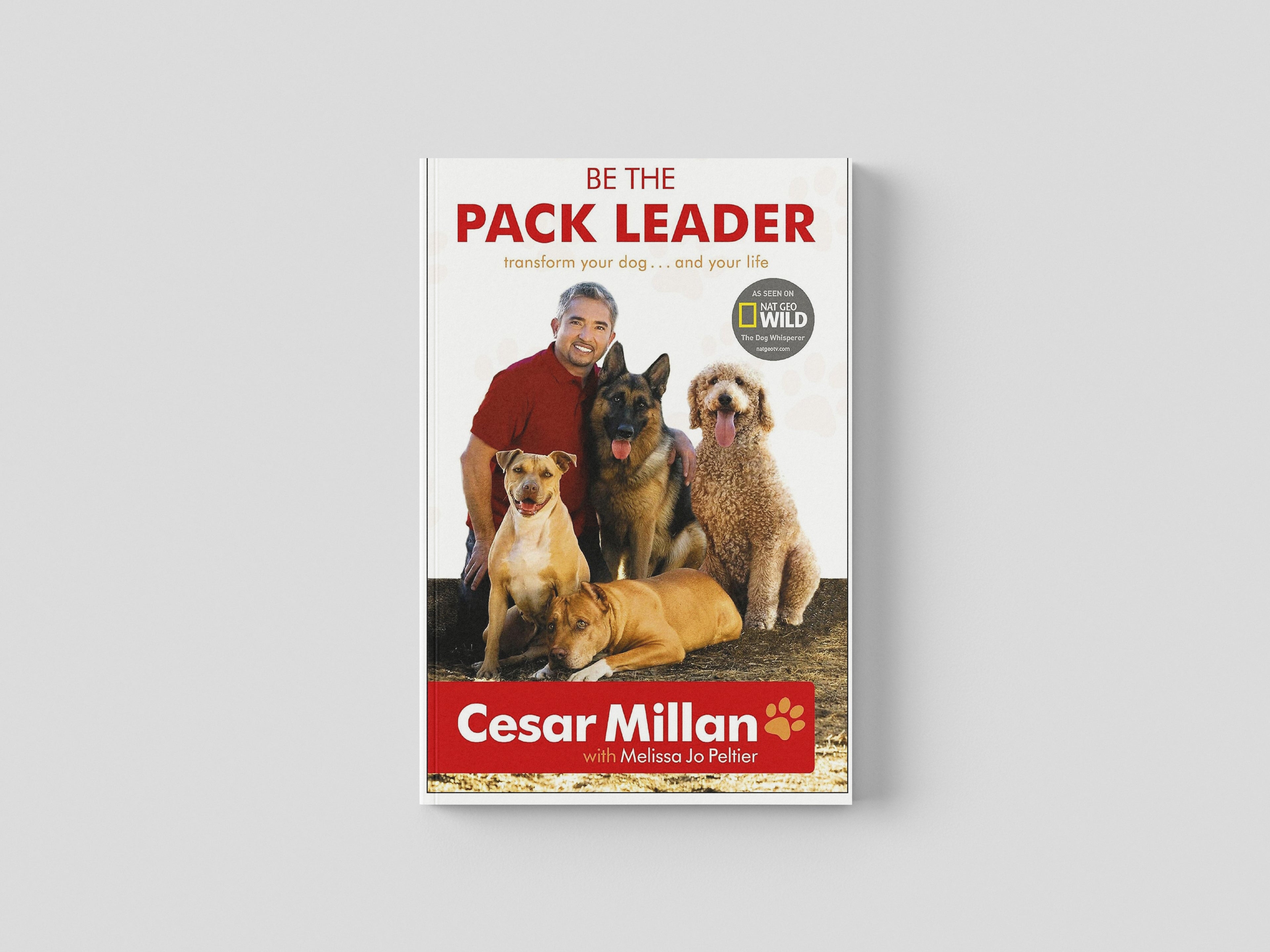 Be the Pack Leader Paperback / softback
