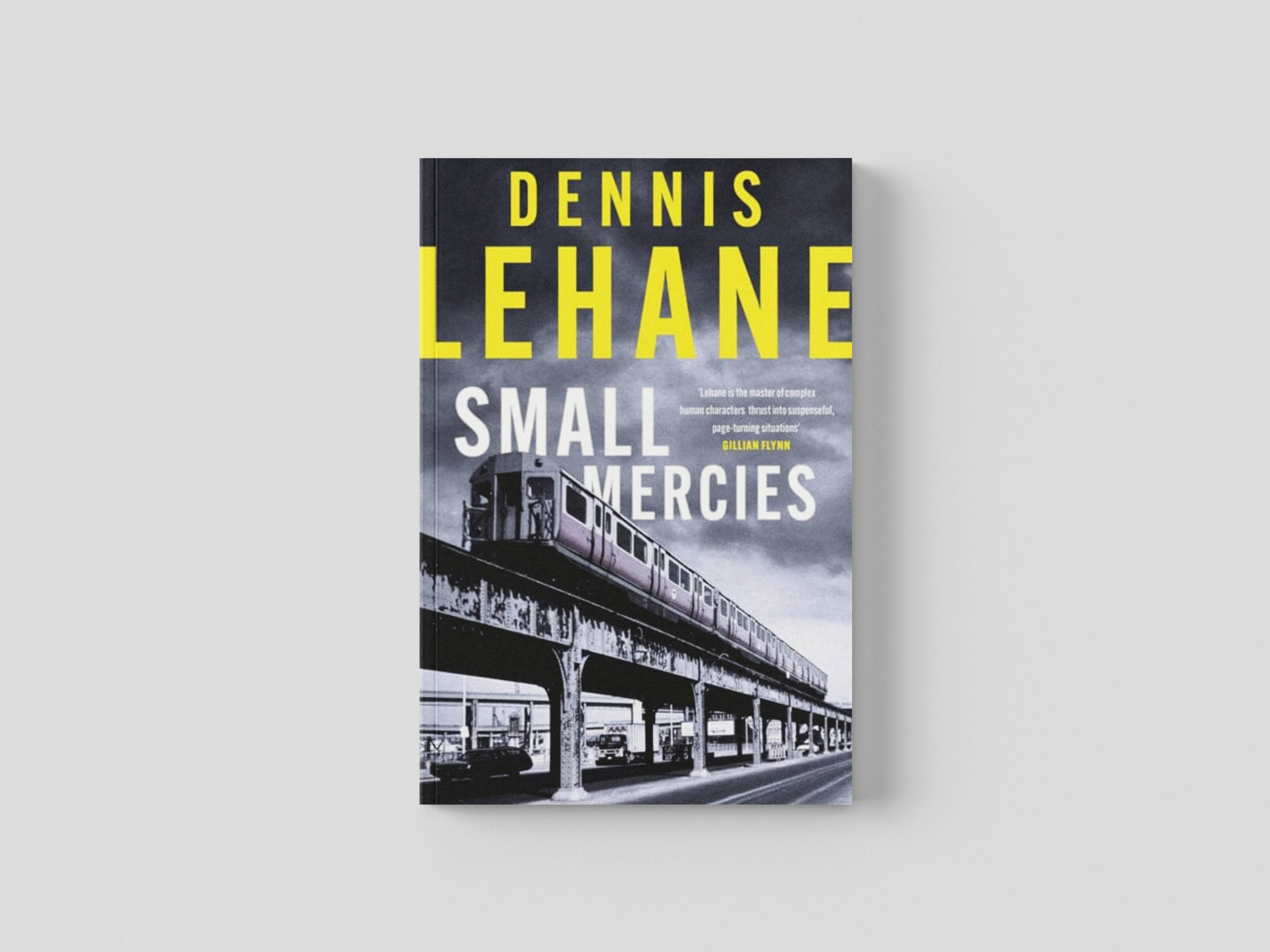 Small Mercies Hardback
