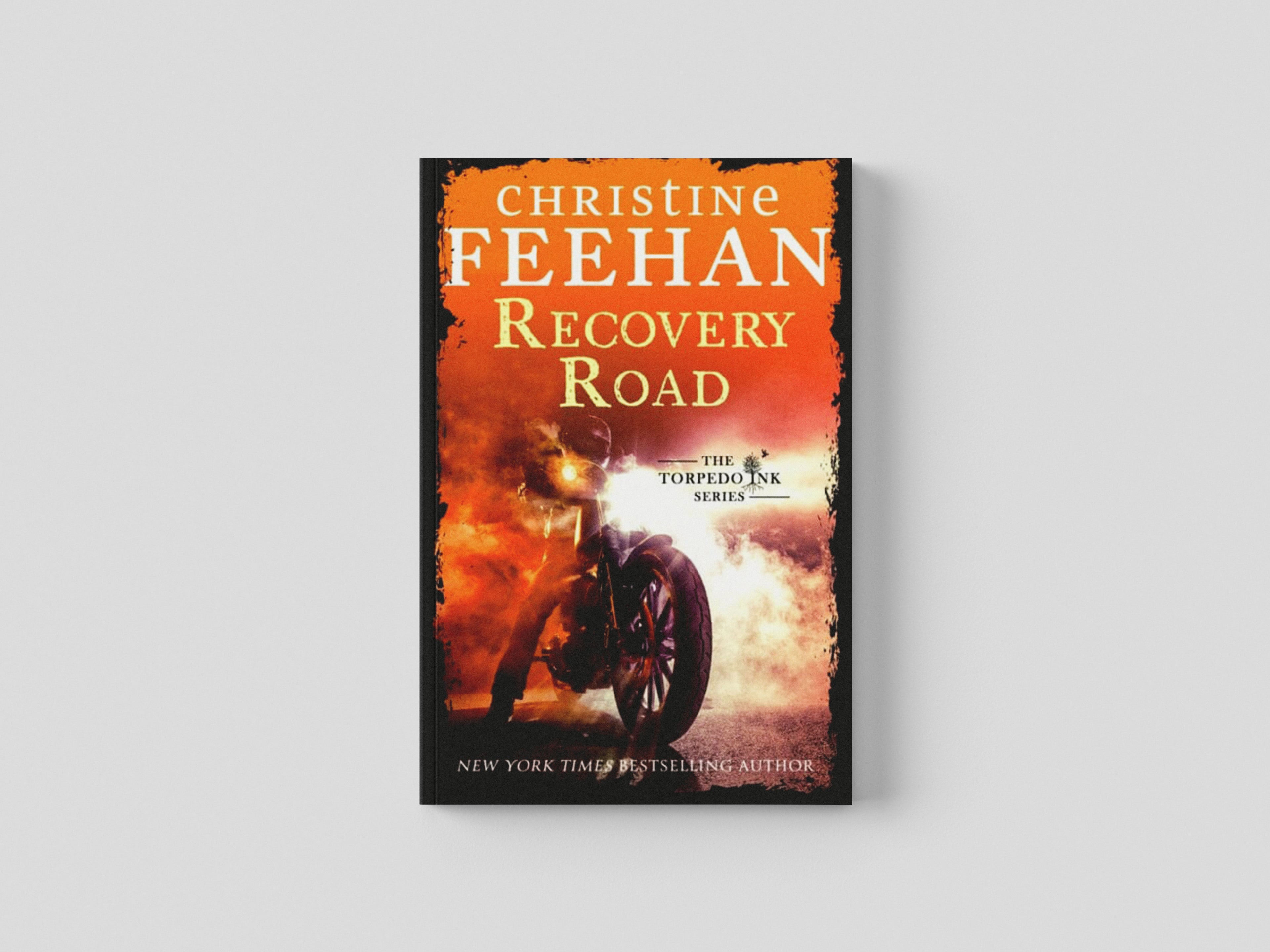Recovery Road Paperback / softback