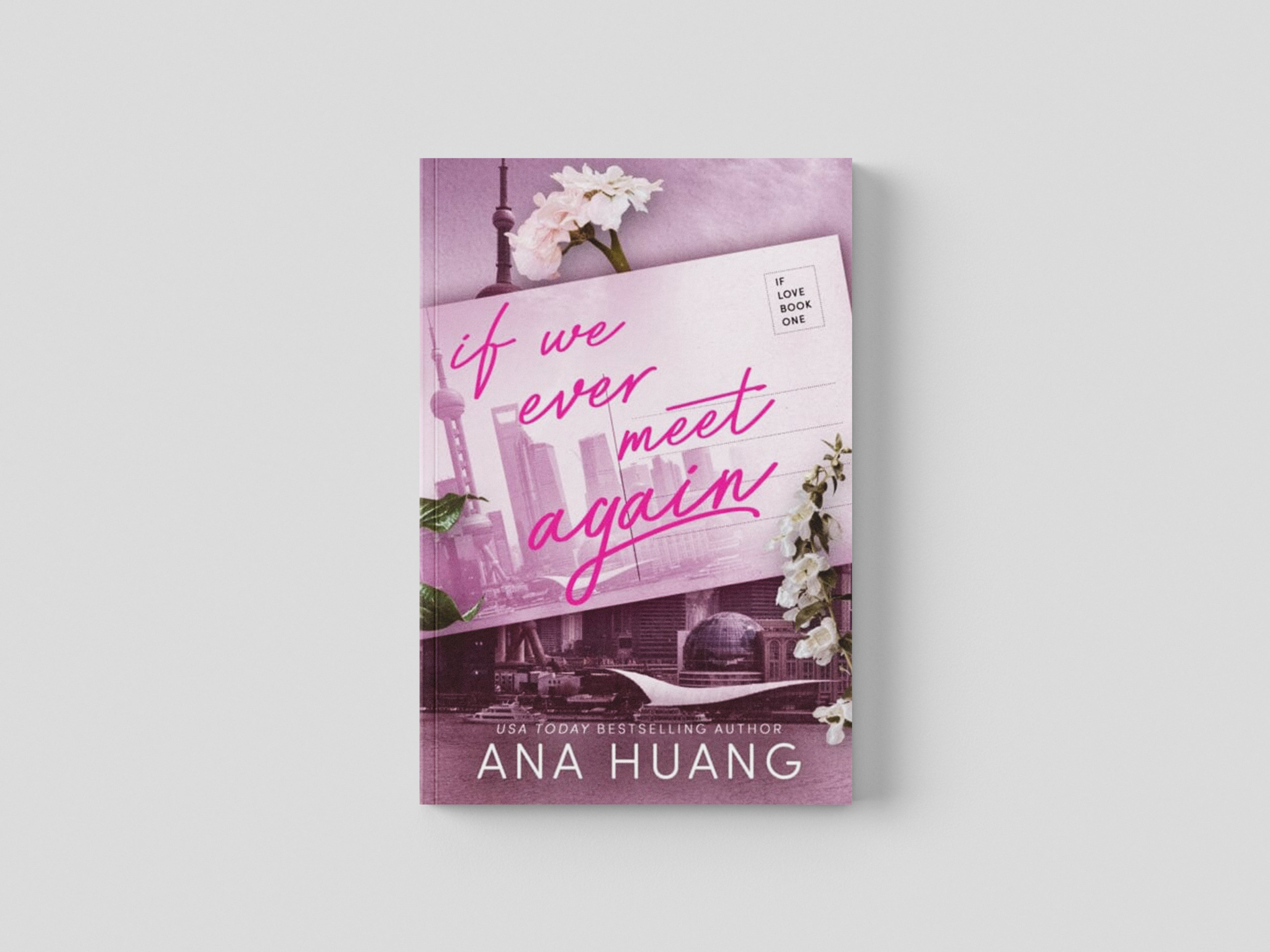 If We Ever Meet Again Paperback / softback