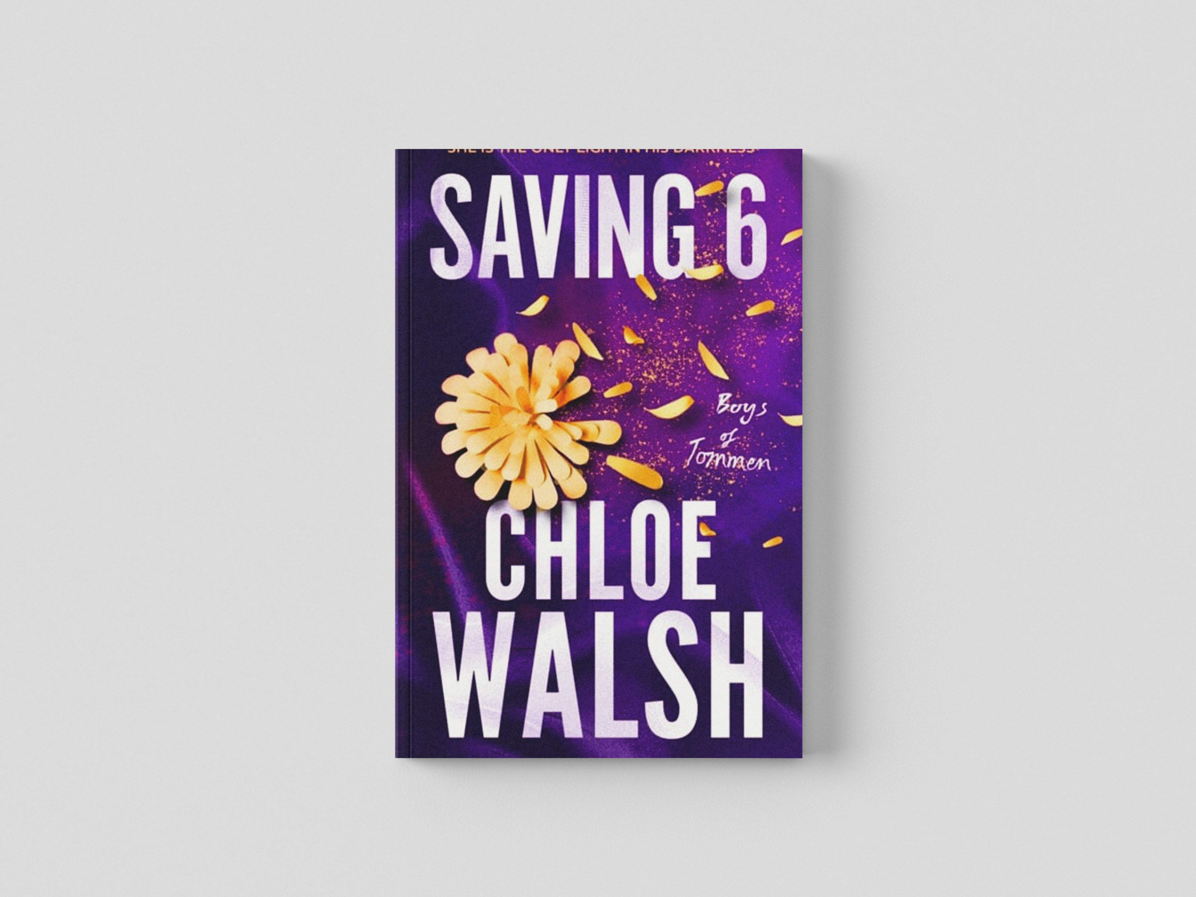 Saving 6 Paperback / softback