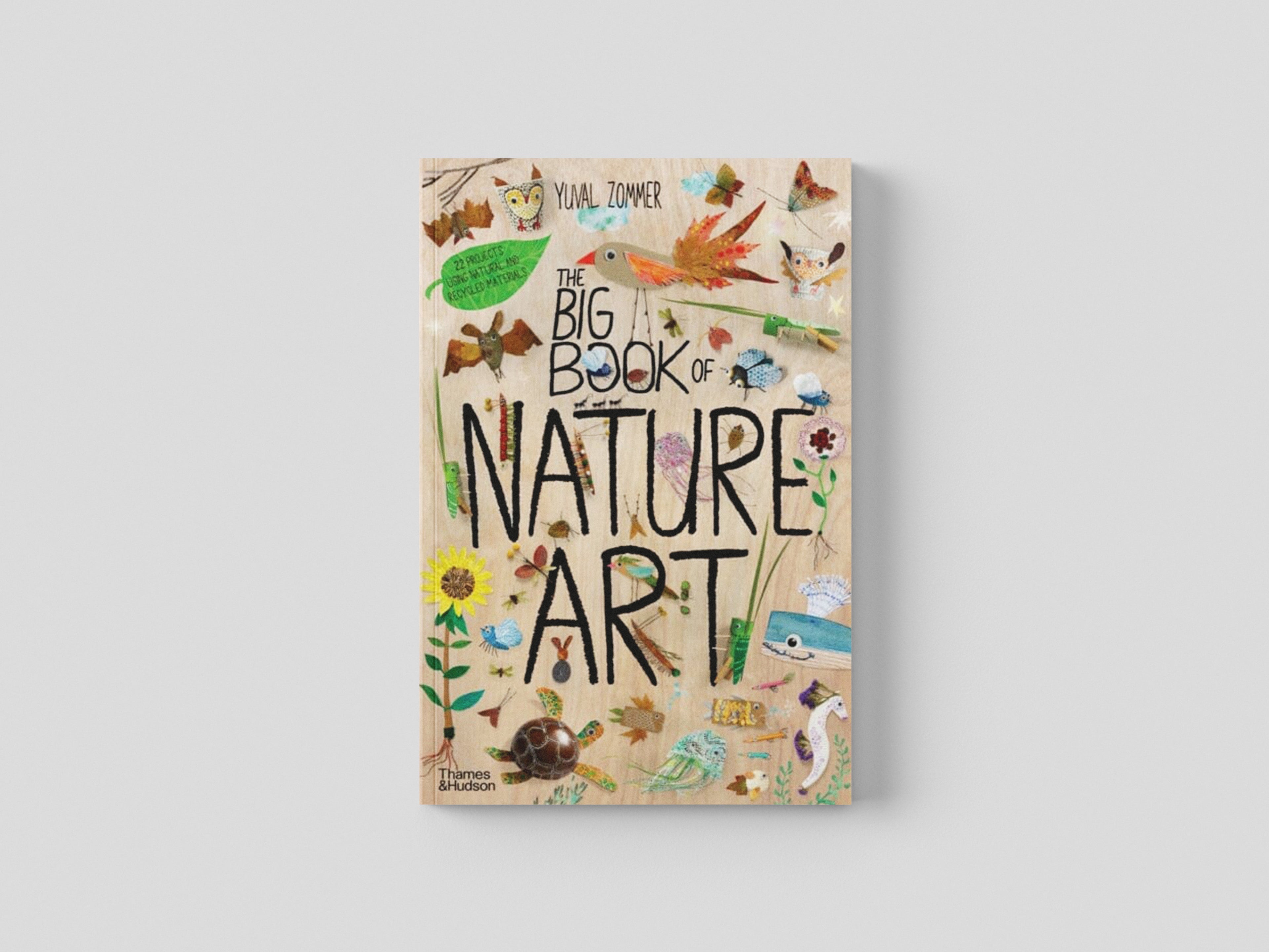 The Big Book of Nature Art Hardback