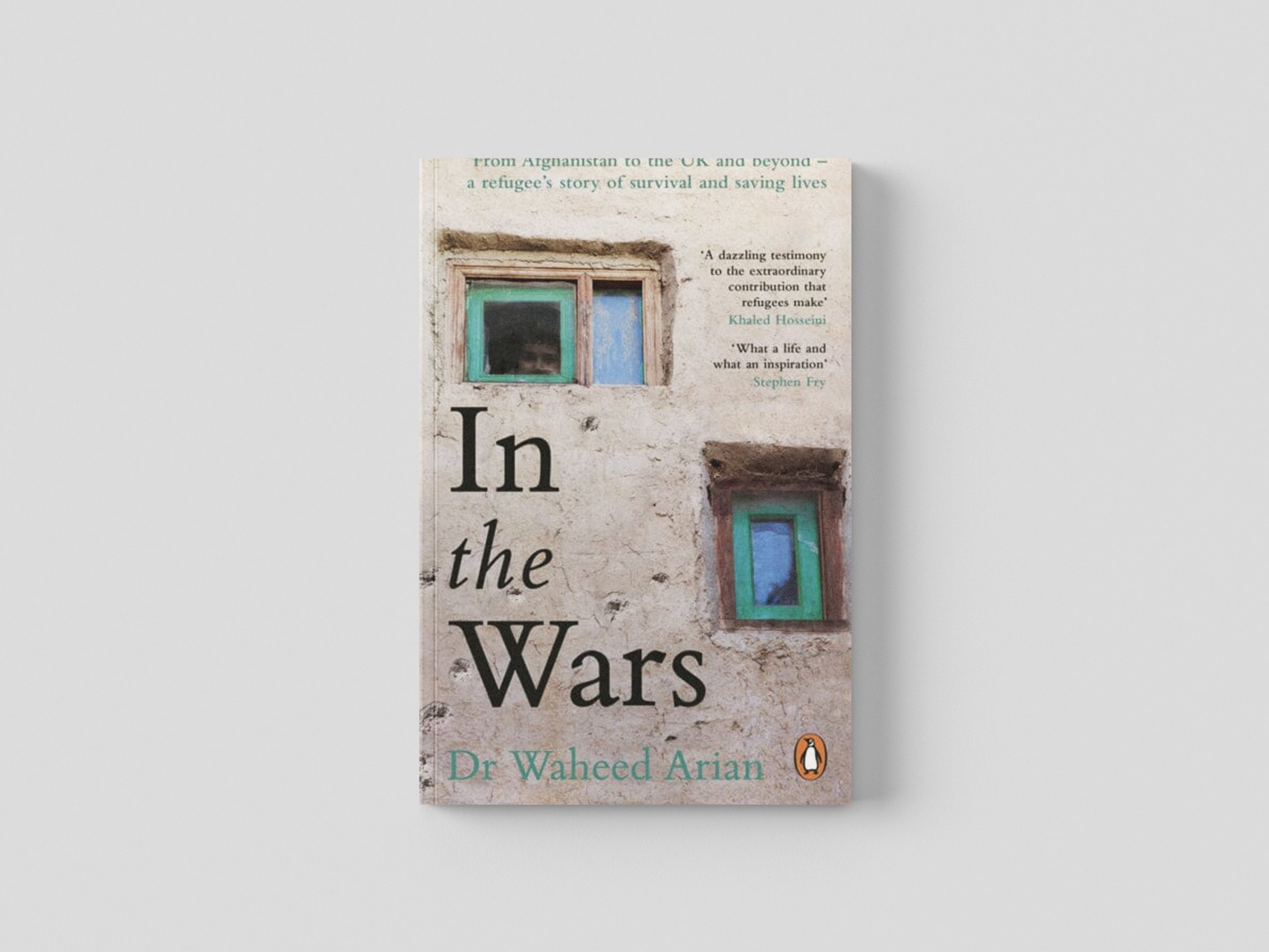 In the Wars Paperback / softback