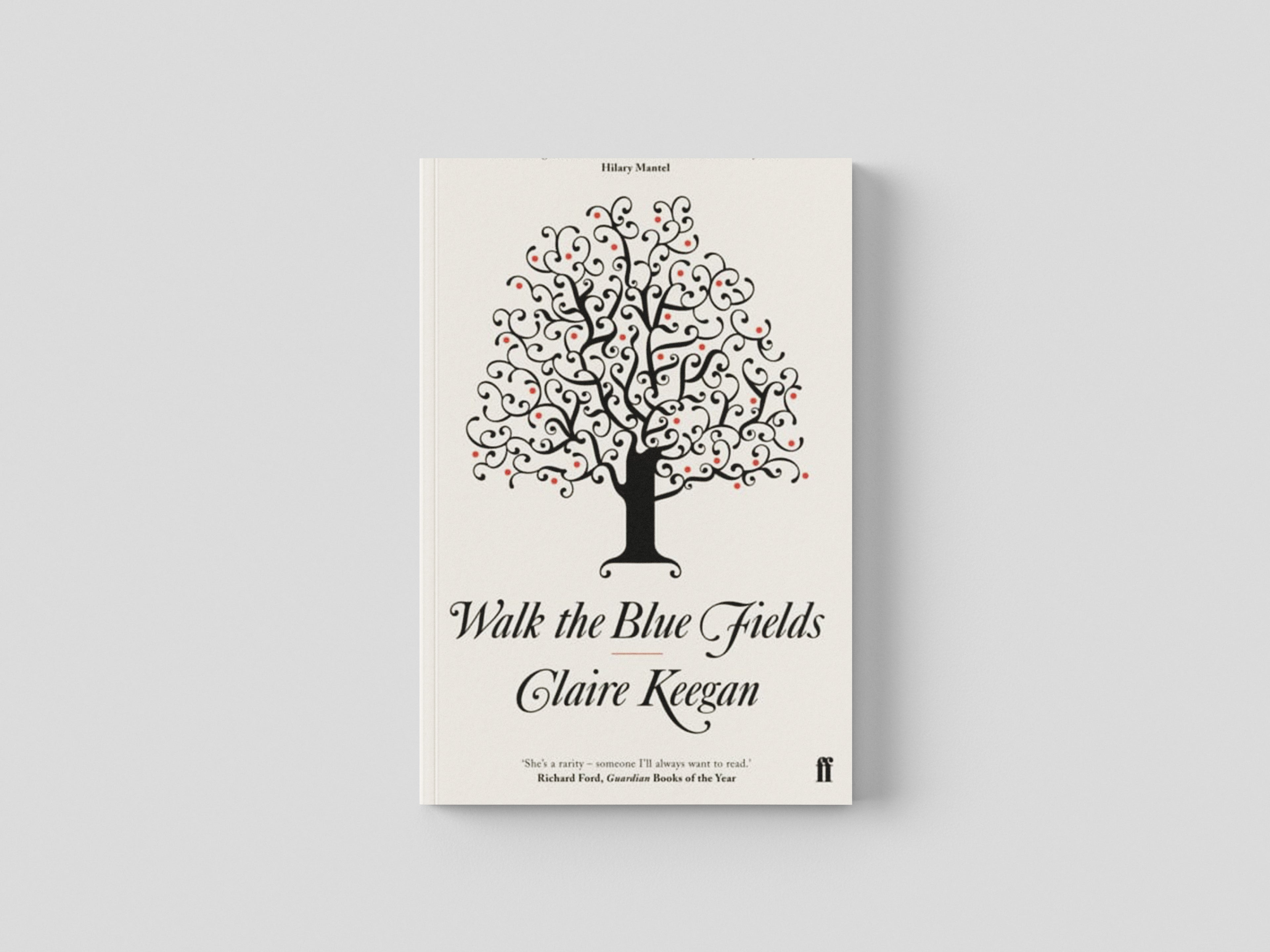 Walk the Blue Fields Paperback / softback