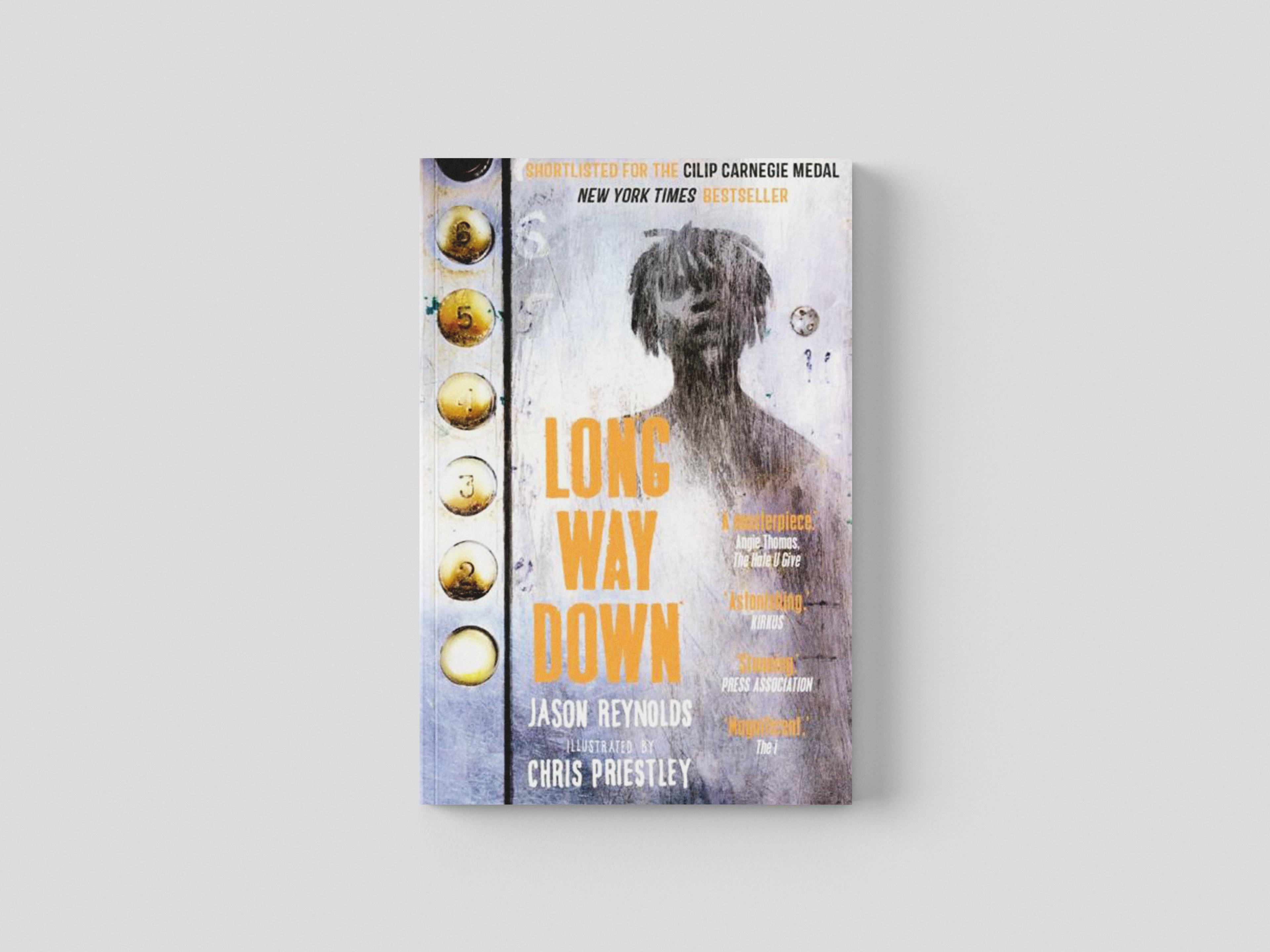 Long Way Down Paperback / softback