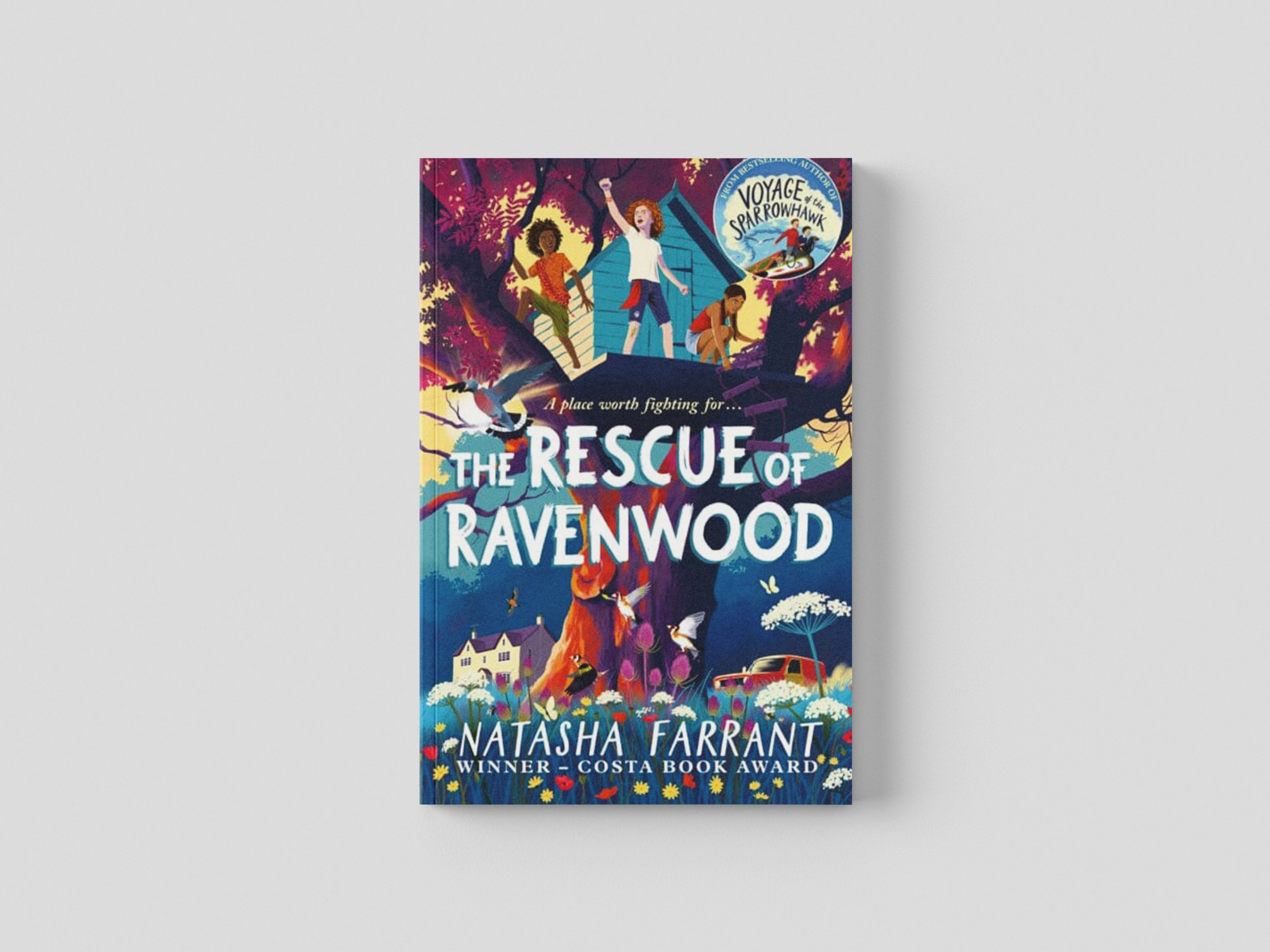 The Rescue of Ravenwood Paperback / softback
