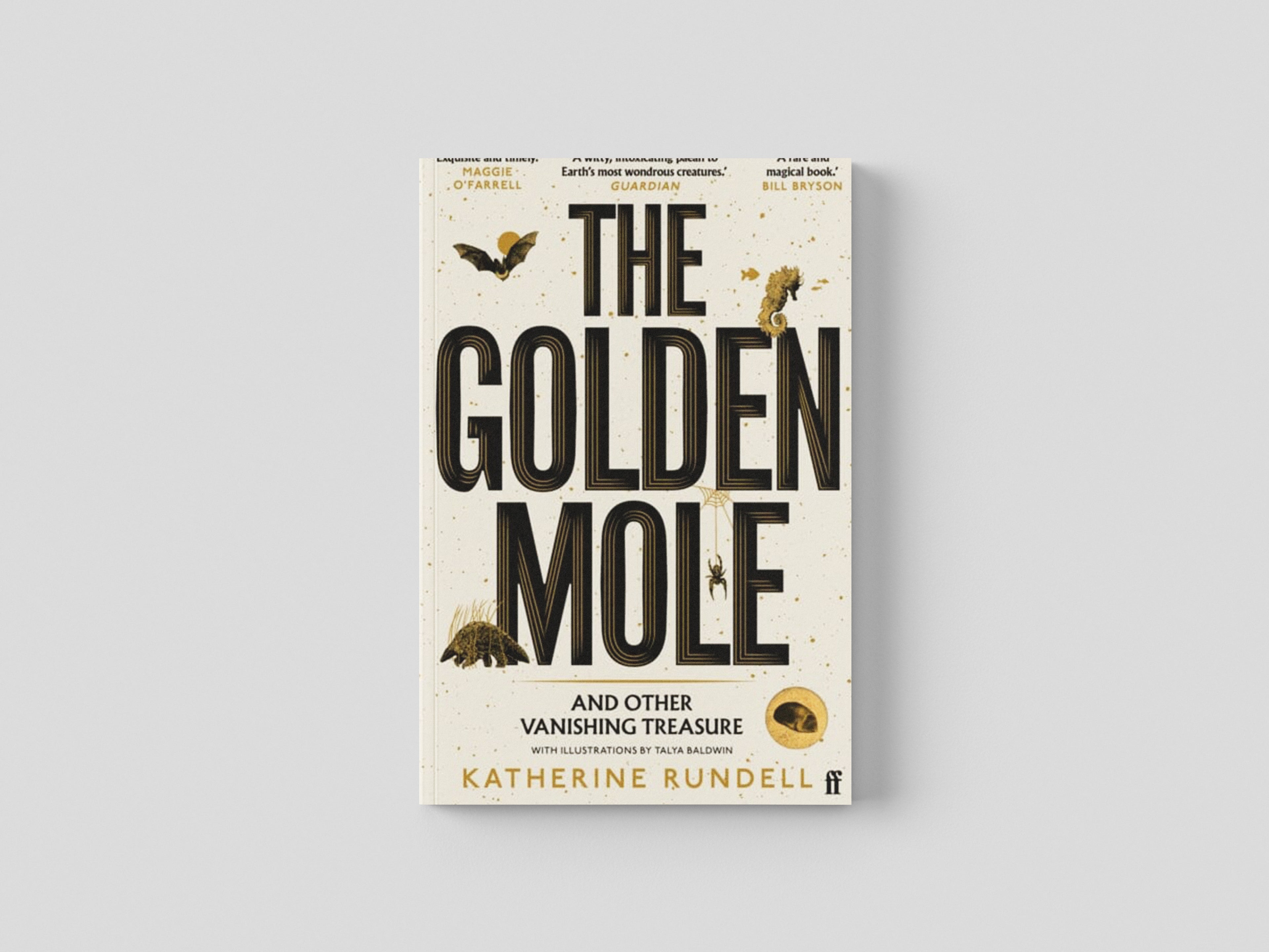 The Golden Mole Paperback / softback