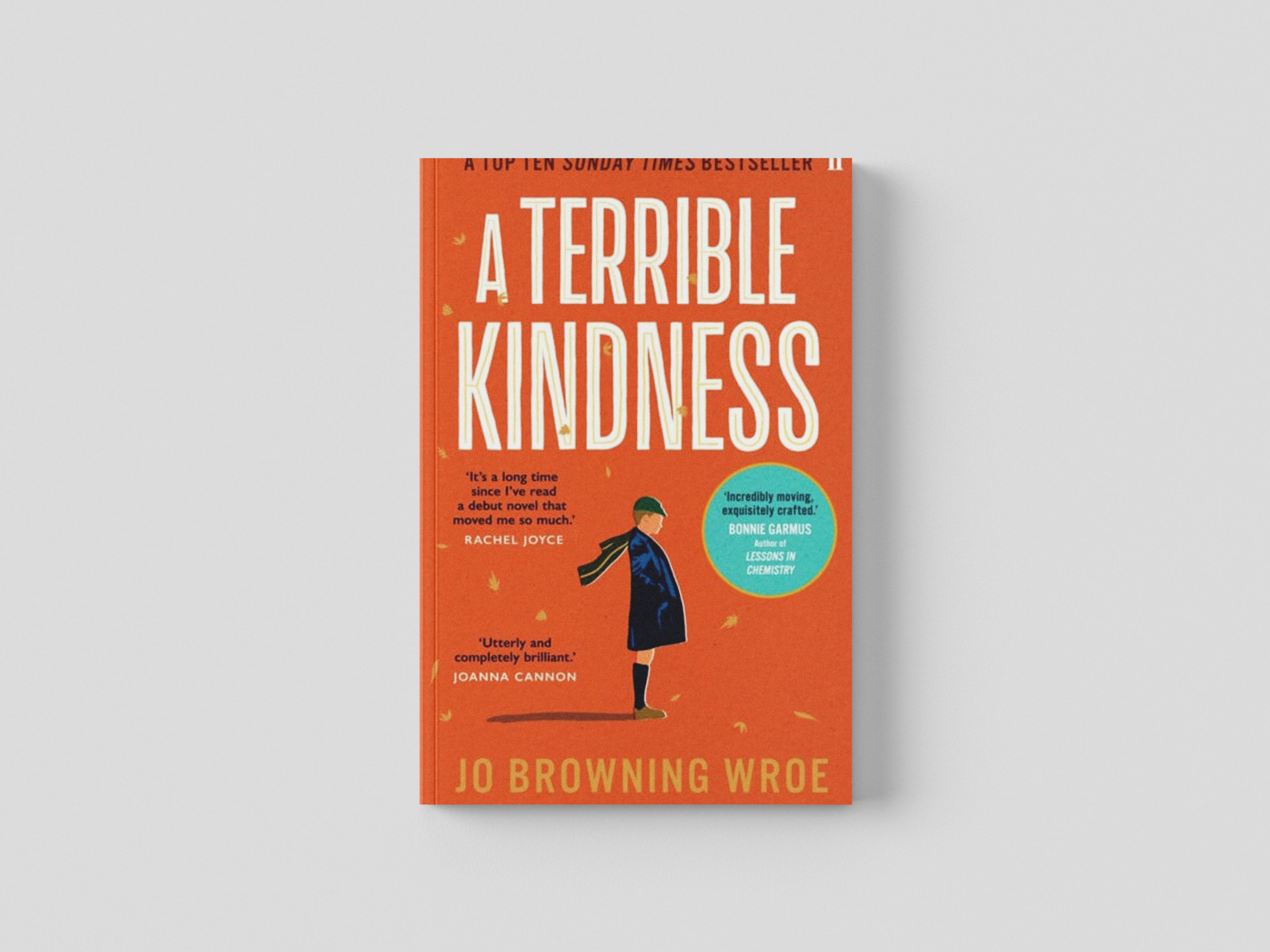 A Terrible Kindness Paperback / softback