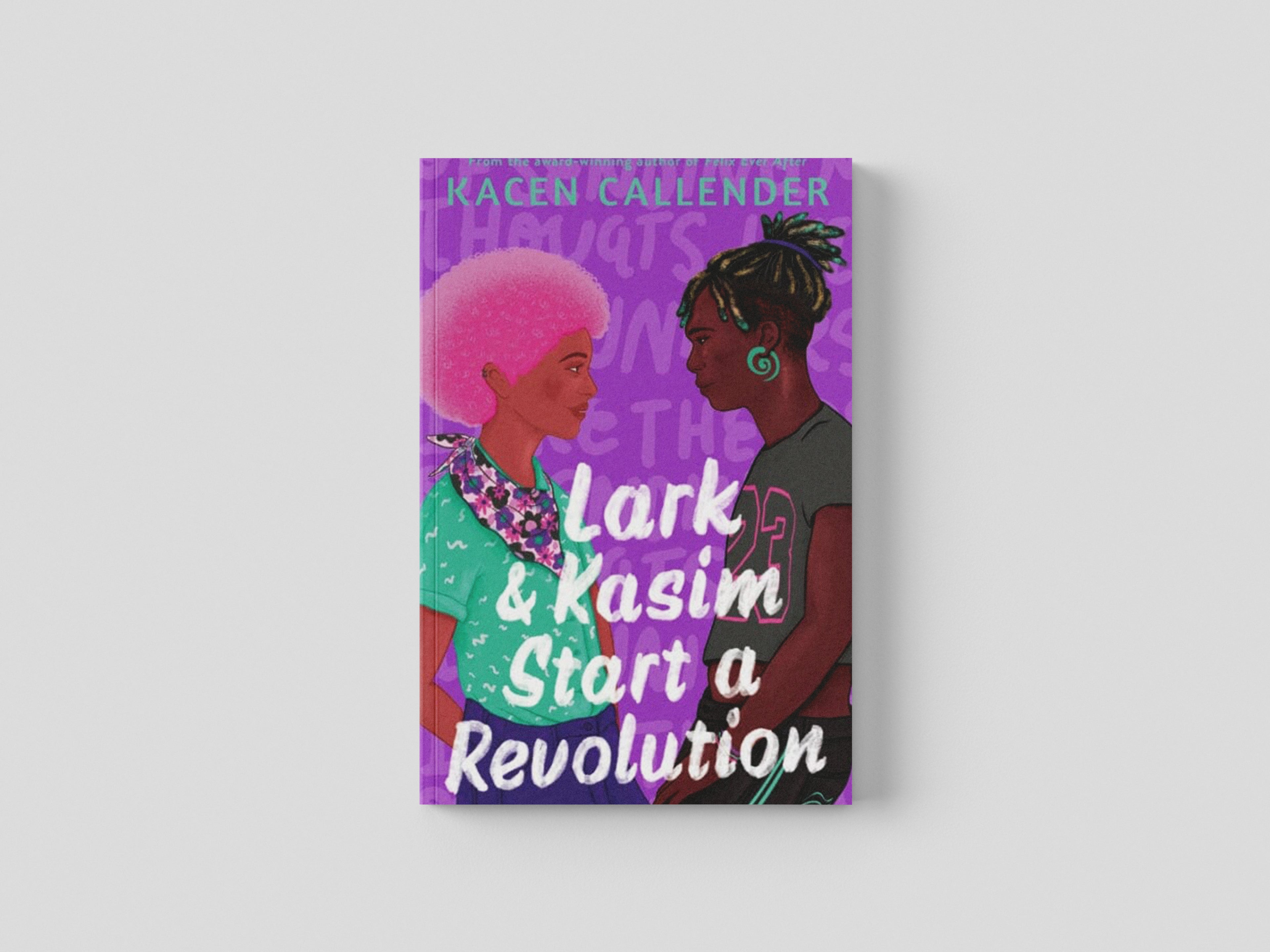 Lark & Kasim Start a Revolution Paperback / softback