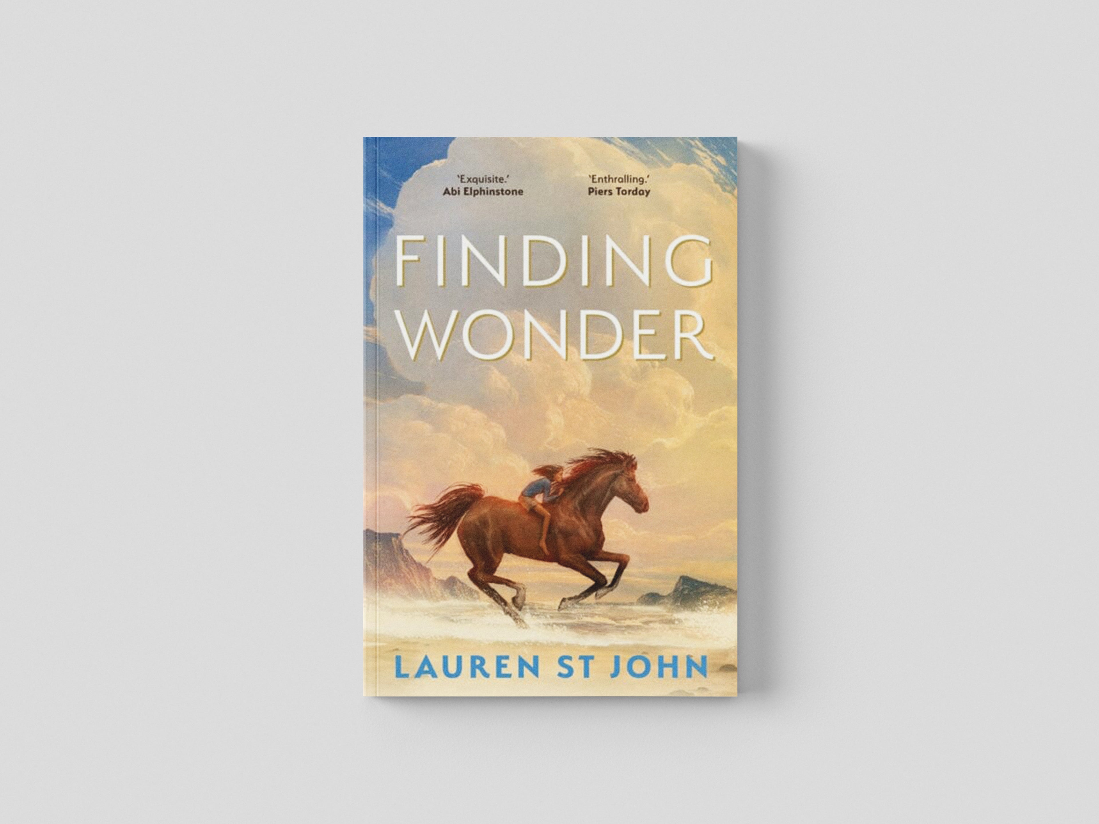 Finding Wonder Paperback / softback
