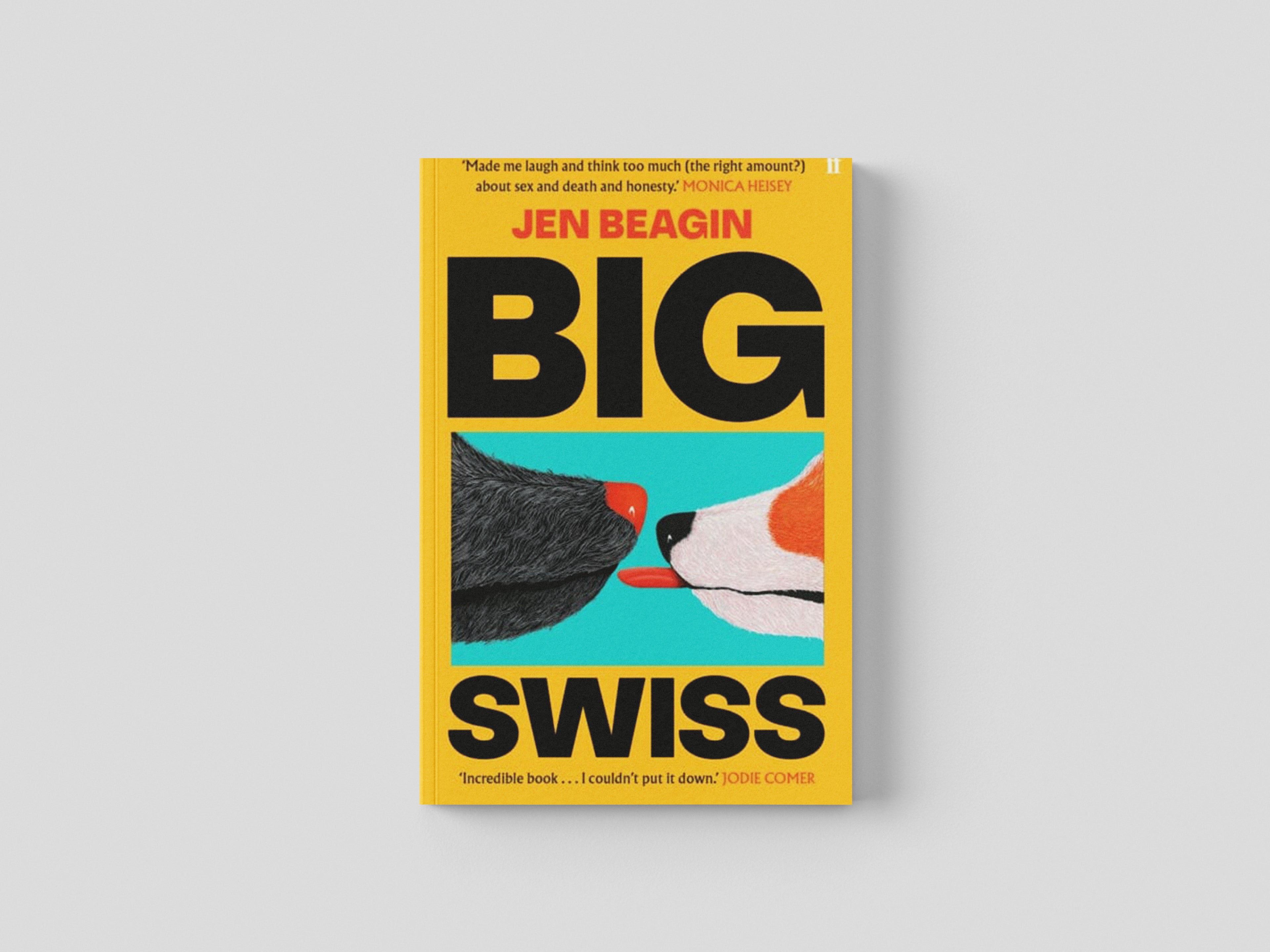Big Swiss Paperback / softback