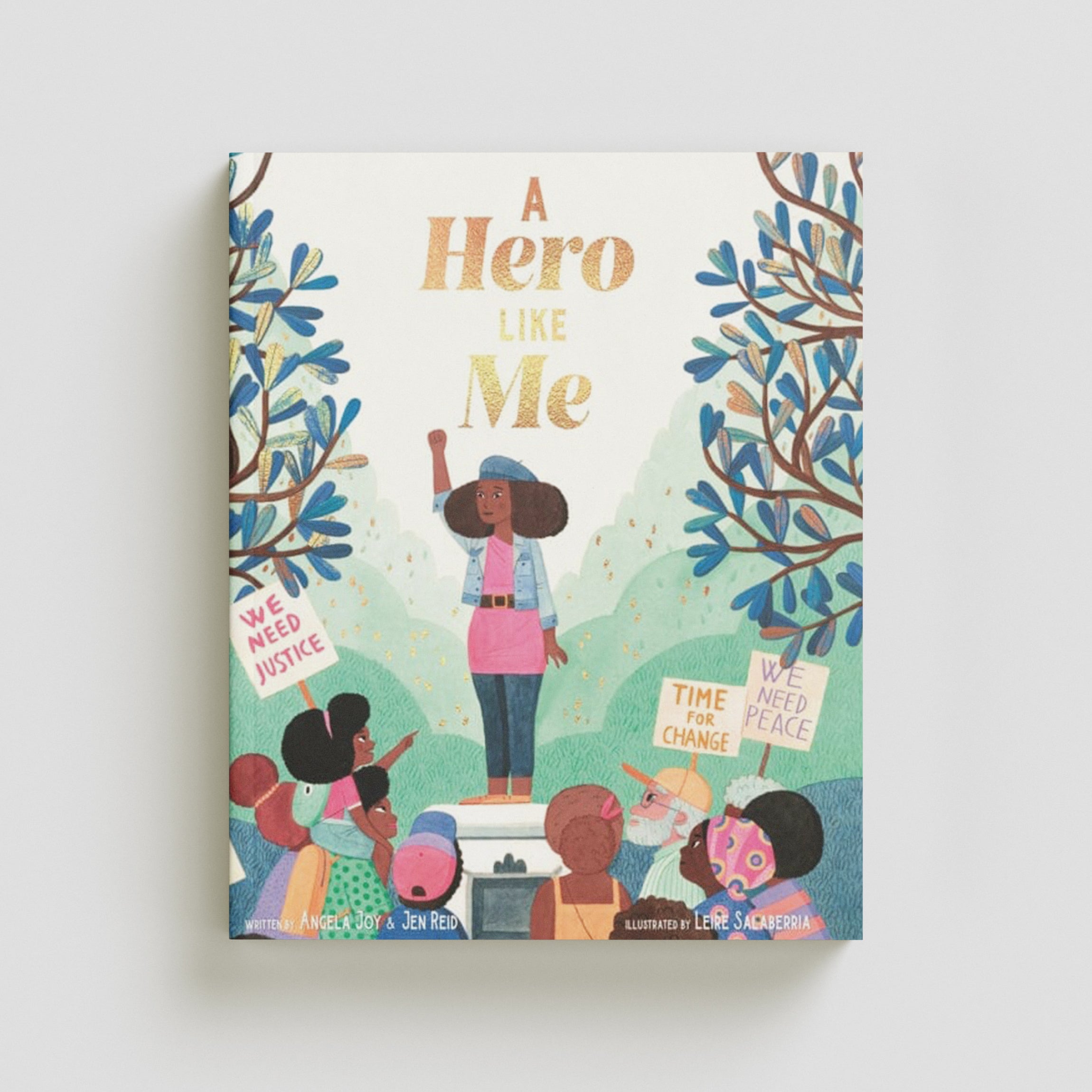A Hero Like Me Paperback / softback