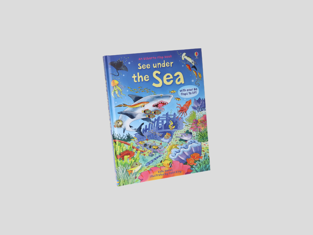 See Inside: See Under the Sea (An Usborne Flap Book) - Ages 6-9