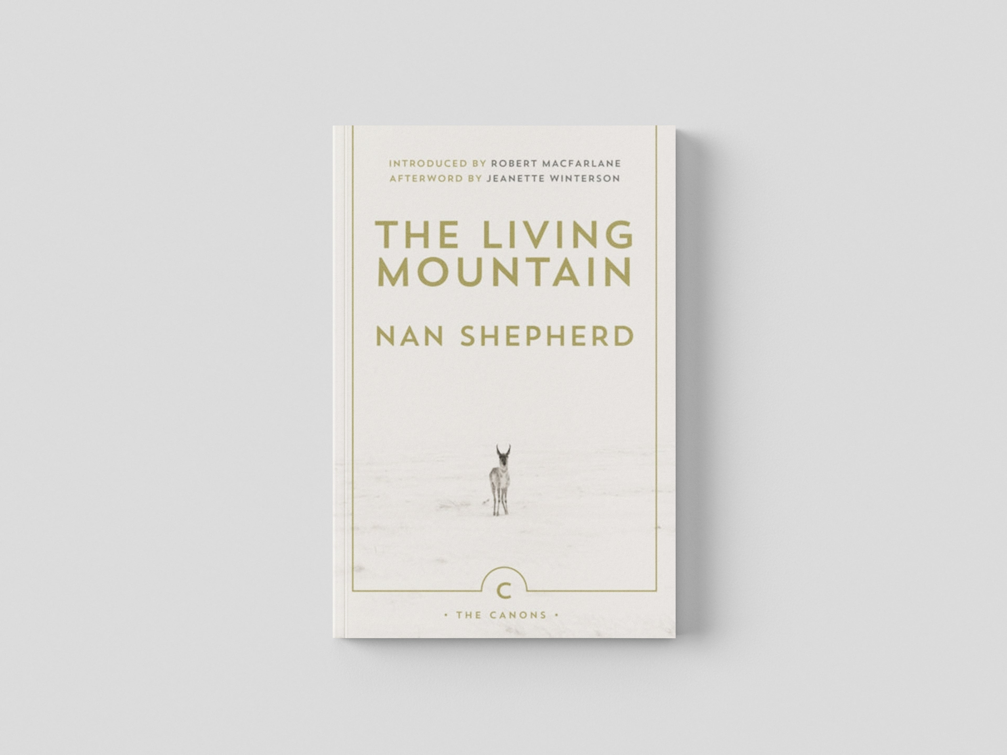 The Living Mountain Paperback / softback
