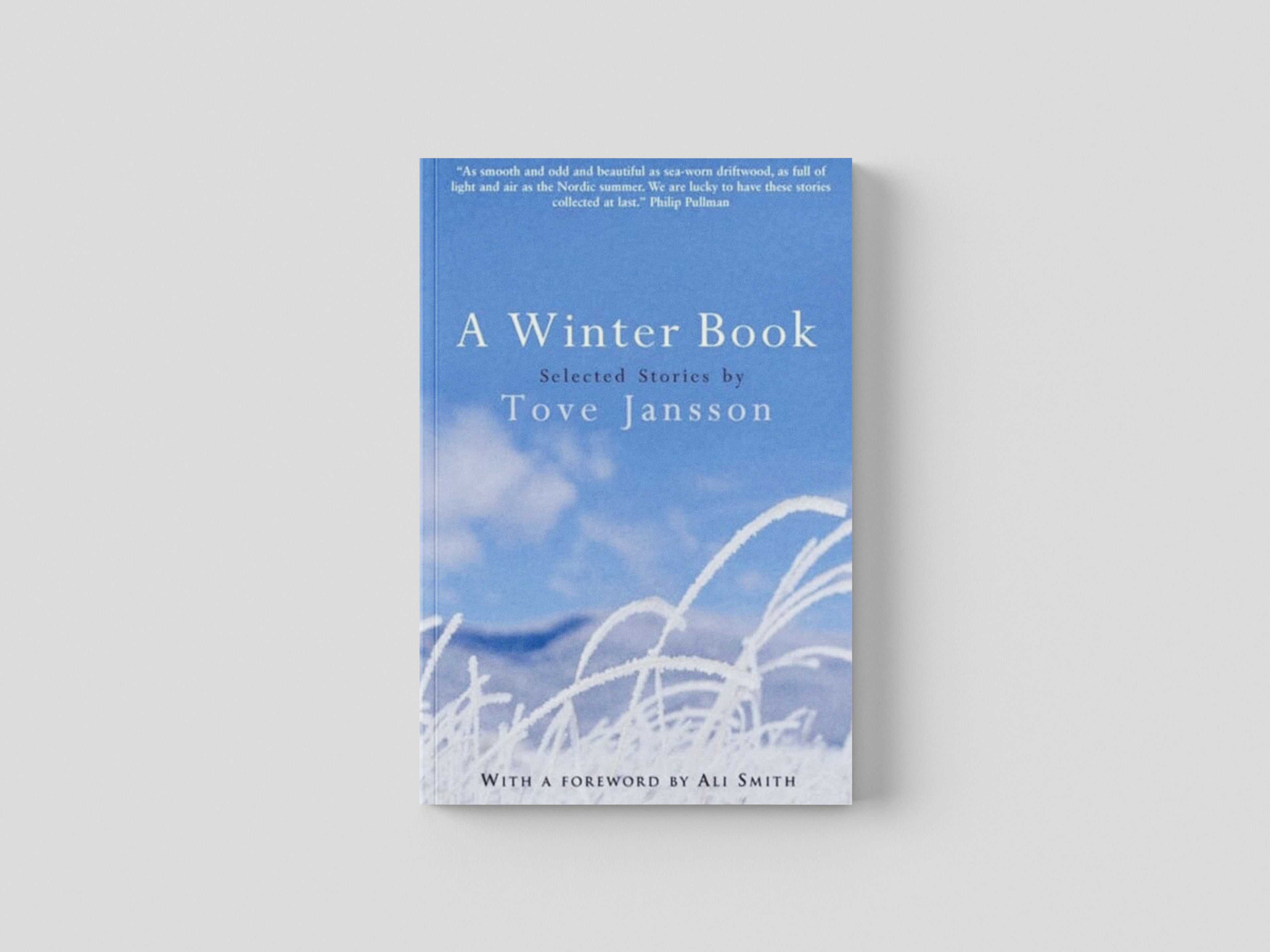 A Winter Book Paperback / softback