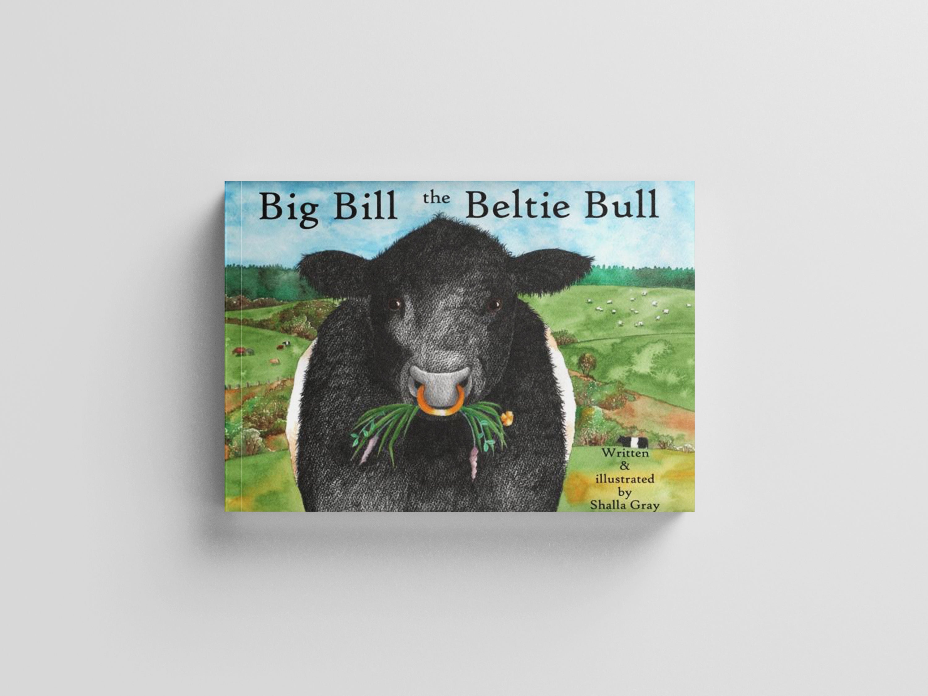 Big Bill the Beltie Bull