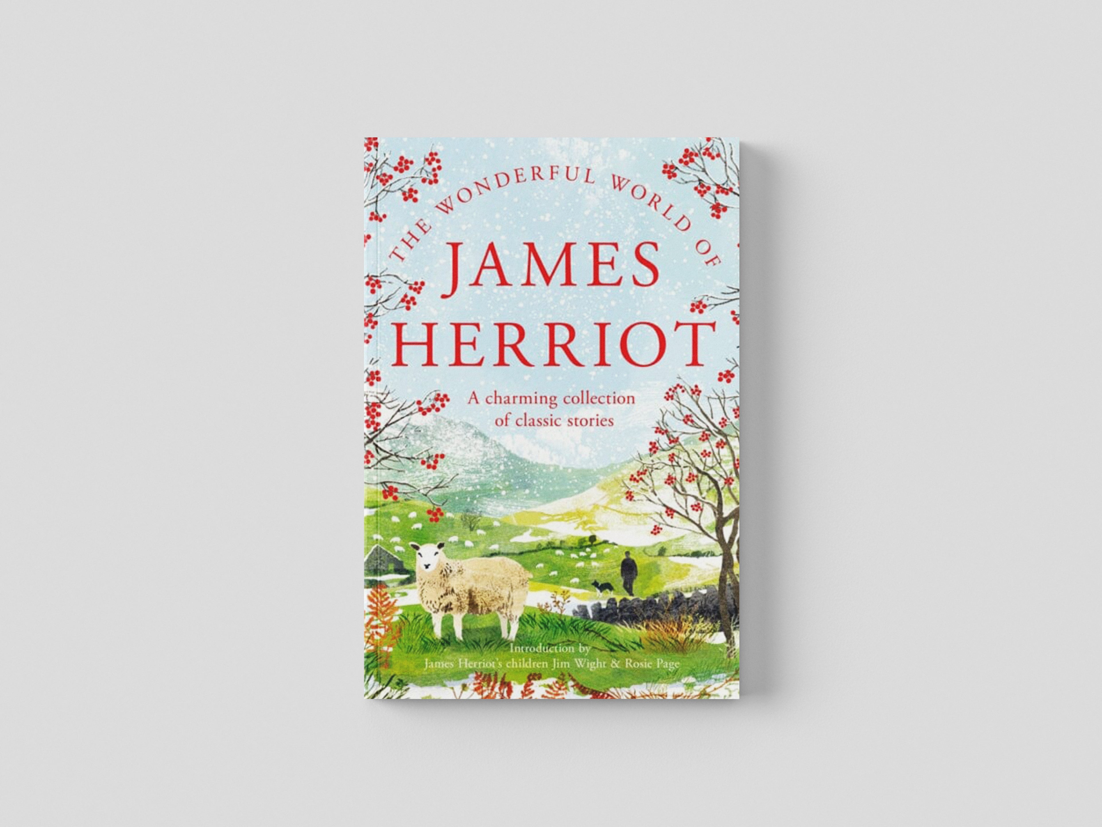 The Wonderful World of James Herriot Hardback