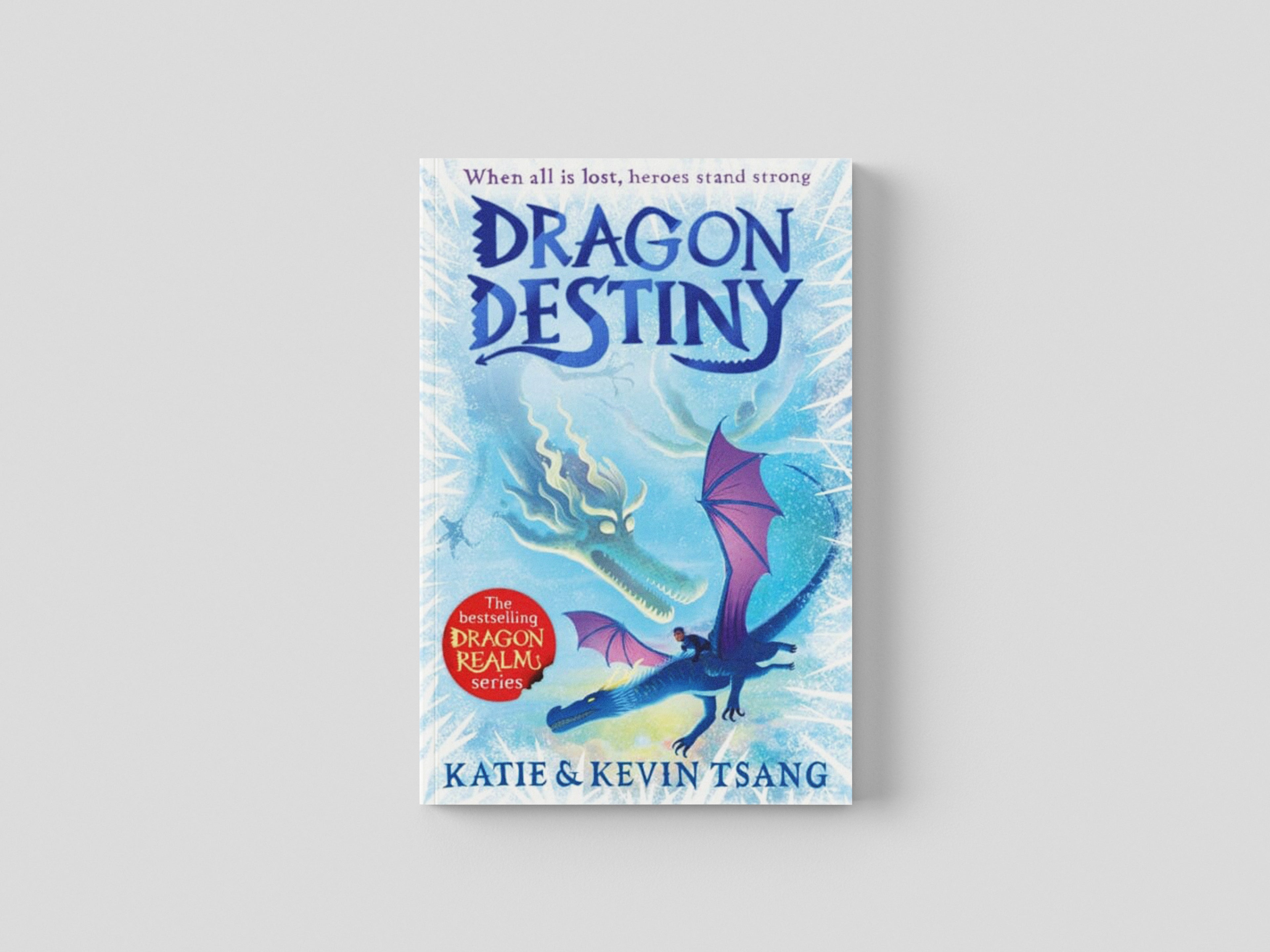 Dragon Destiny Paperback / softback