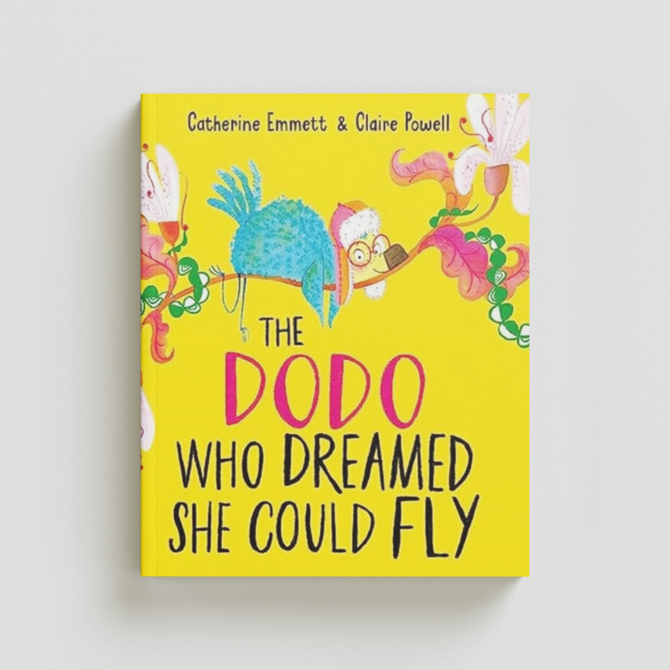 The Dodo Who Dreamed She Could Fly Paperback / softback